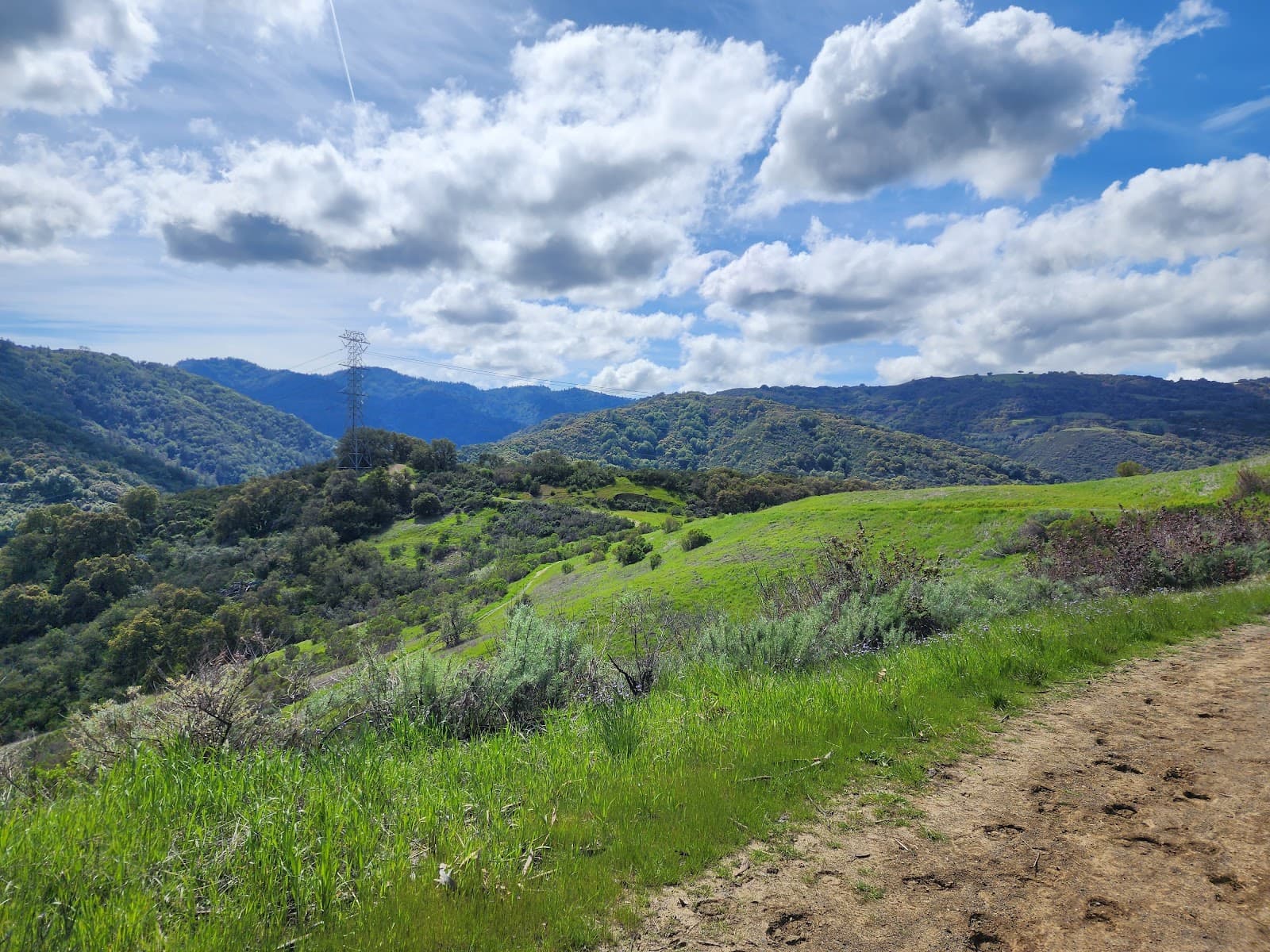 Fremont Older Open Space Preserve - Image 1