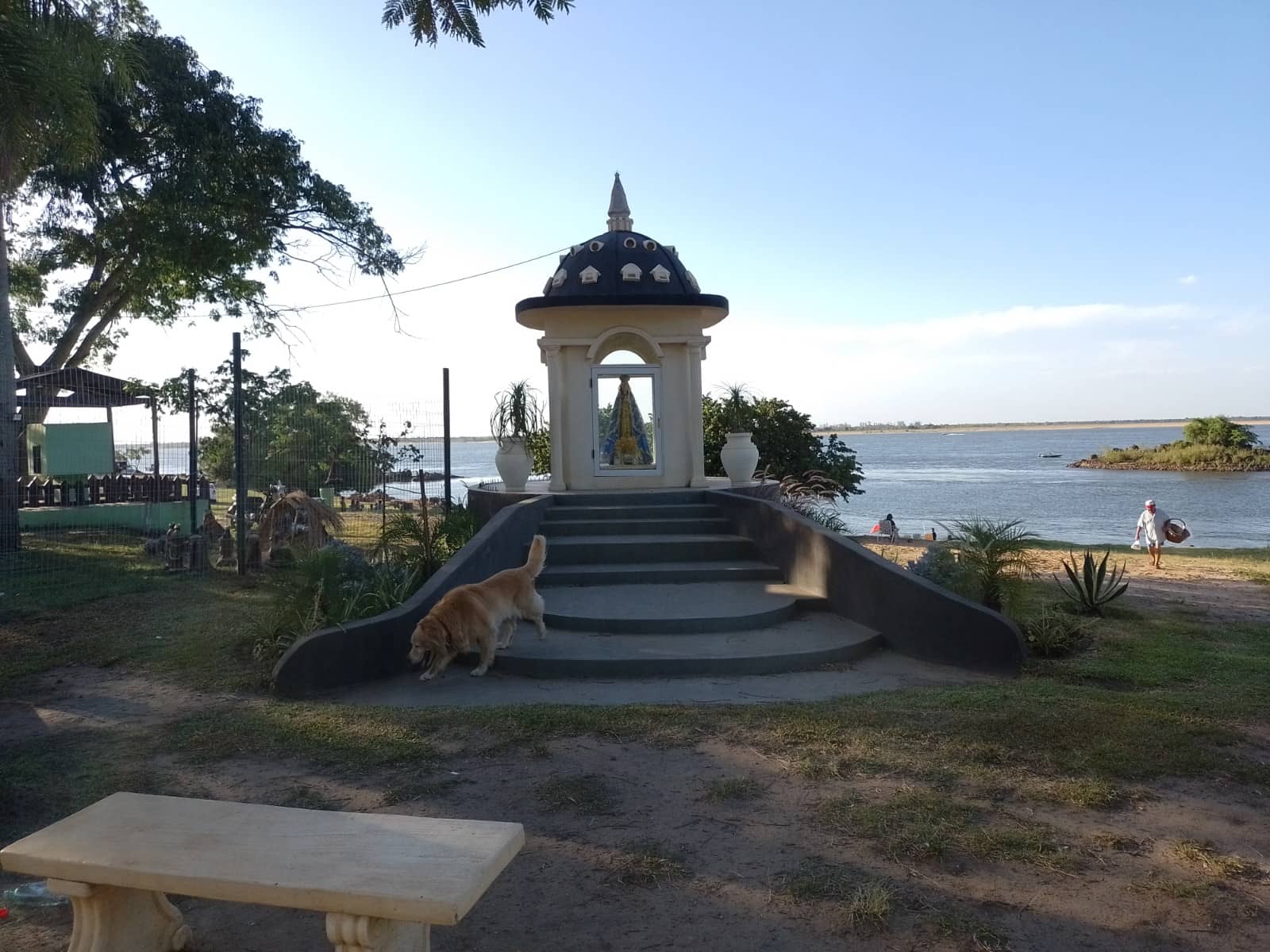 Vertical photo