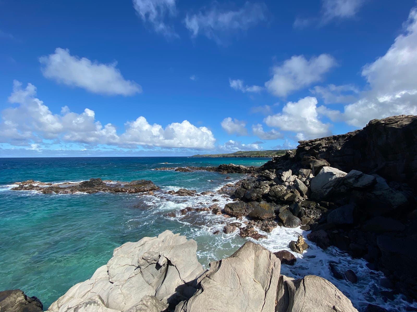 Oneloa Beach Ironwoods - Image 1