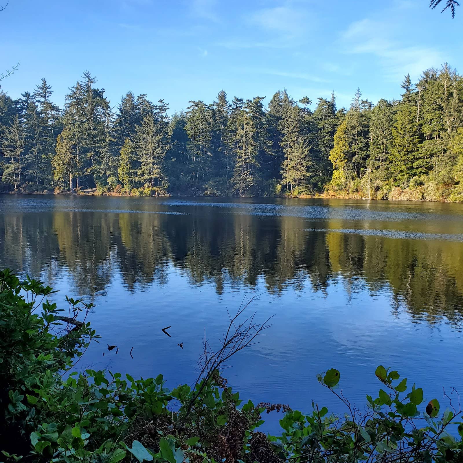 Crabbing in Winchester Bay