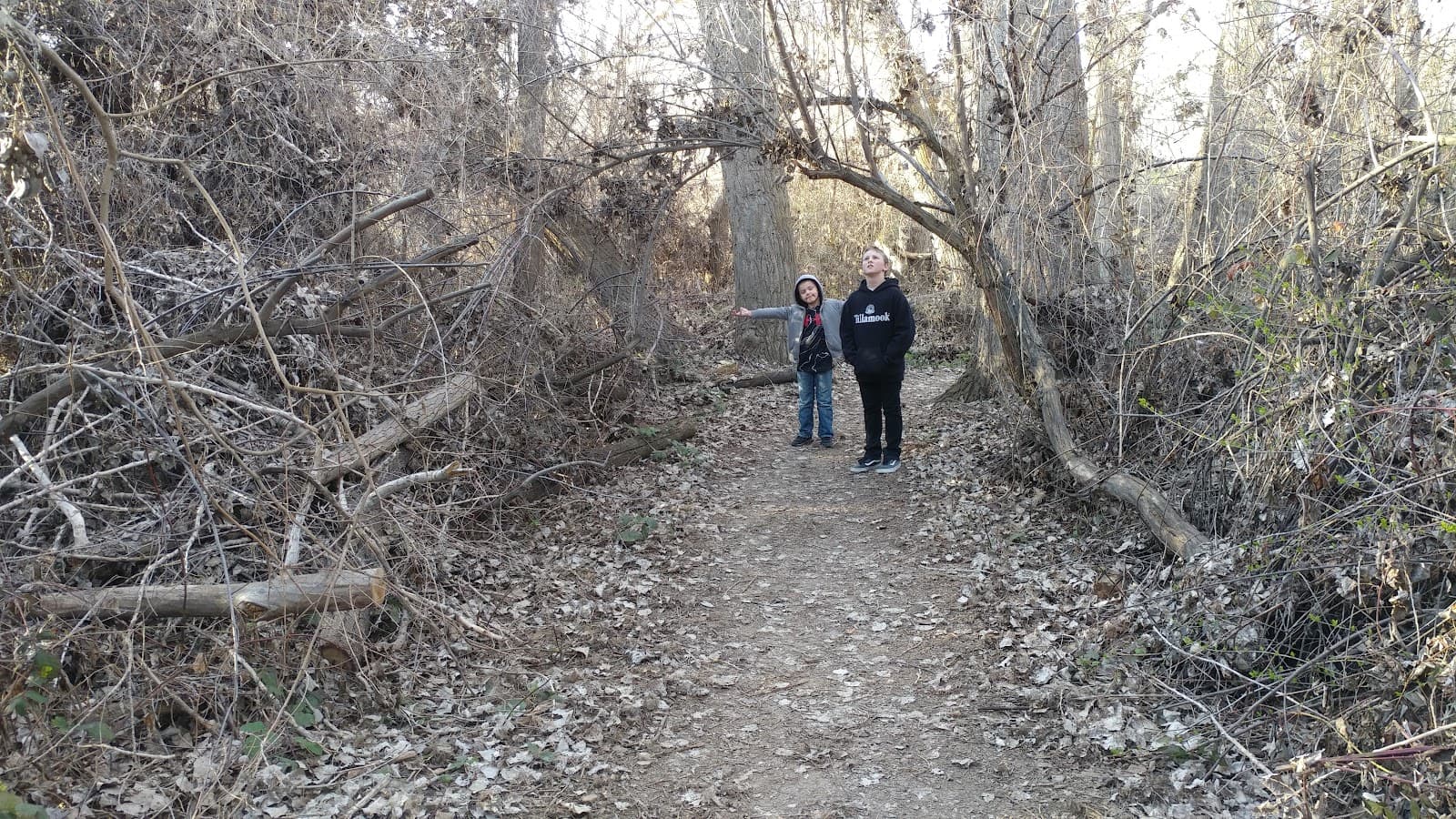 Zintel Canyon Park - Image 1