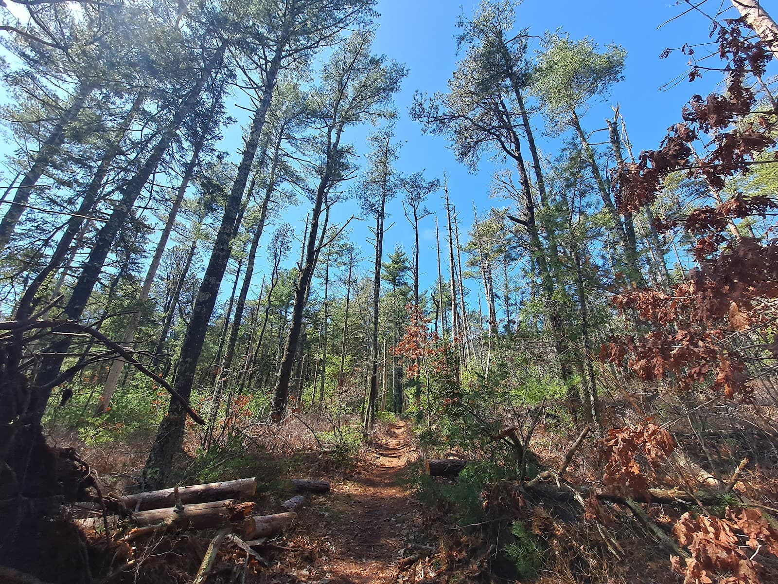 Great Neck Conservation Area - Image 1