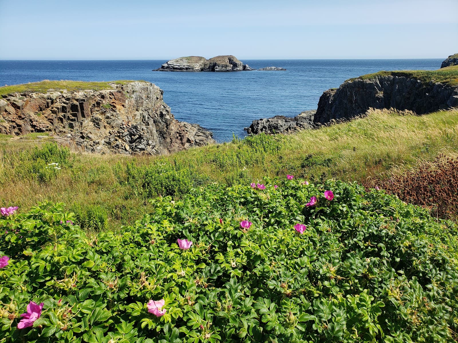 Elliston Root Cellars - Image 1