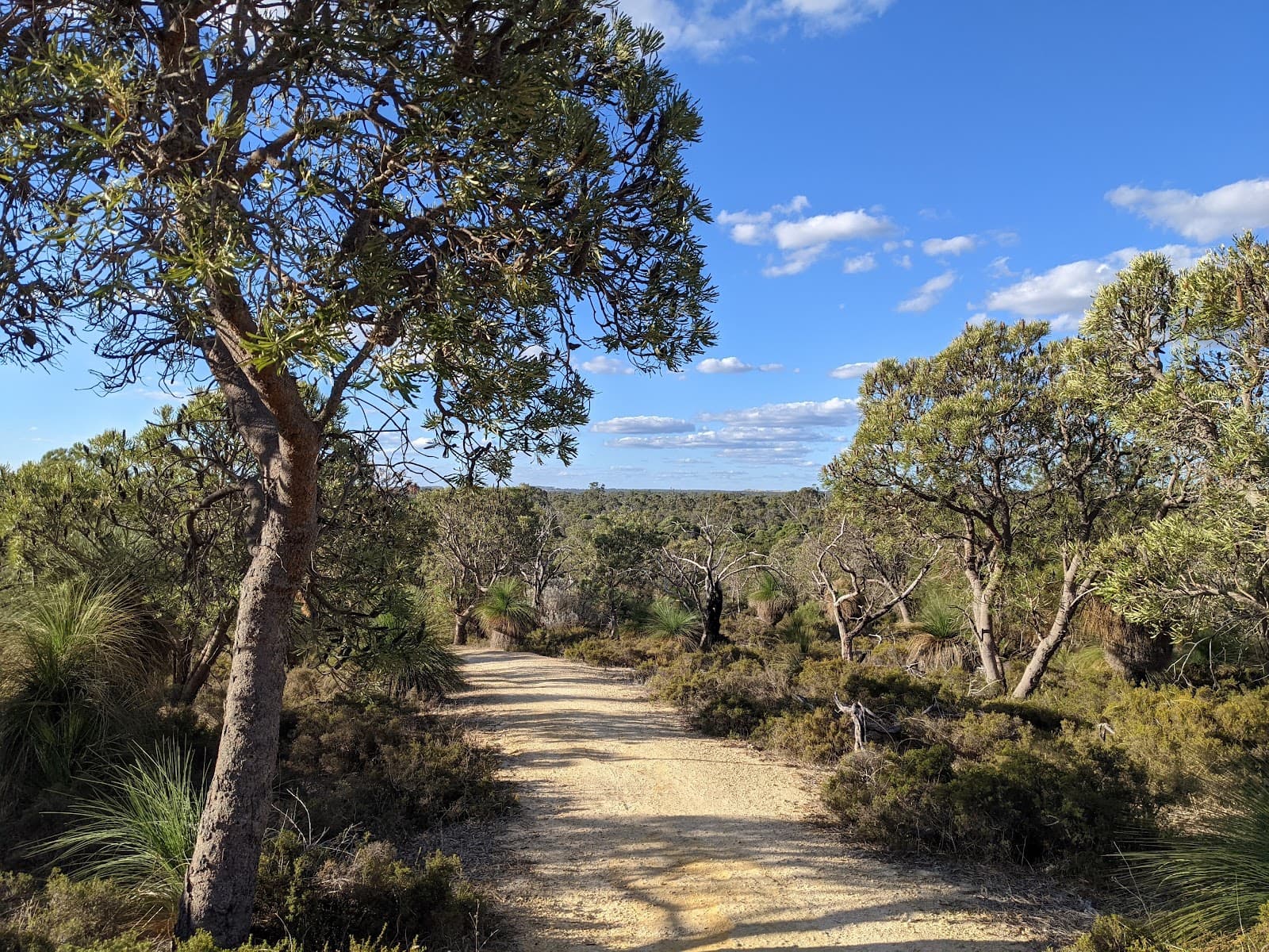 Neerabup National Park - Image 1