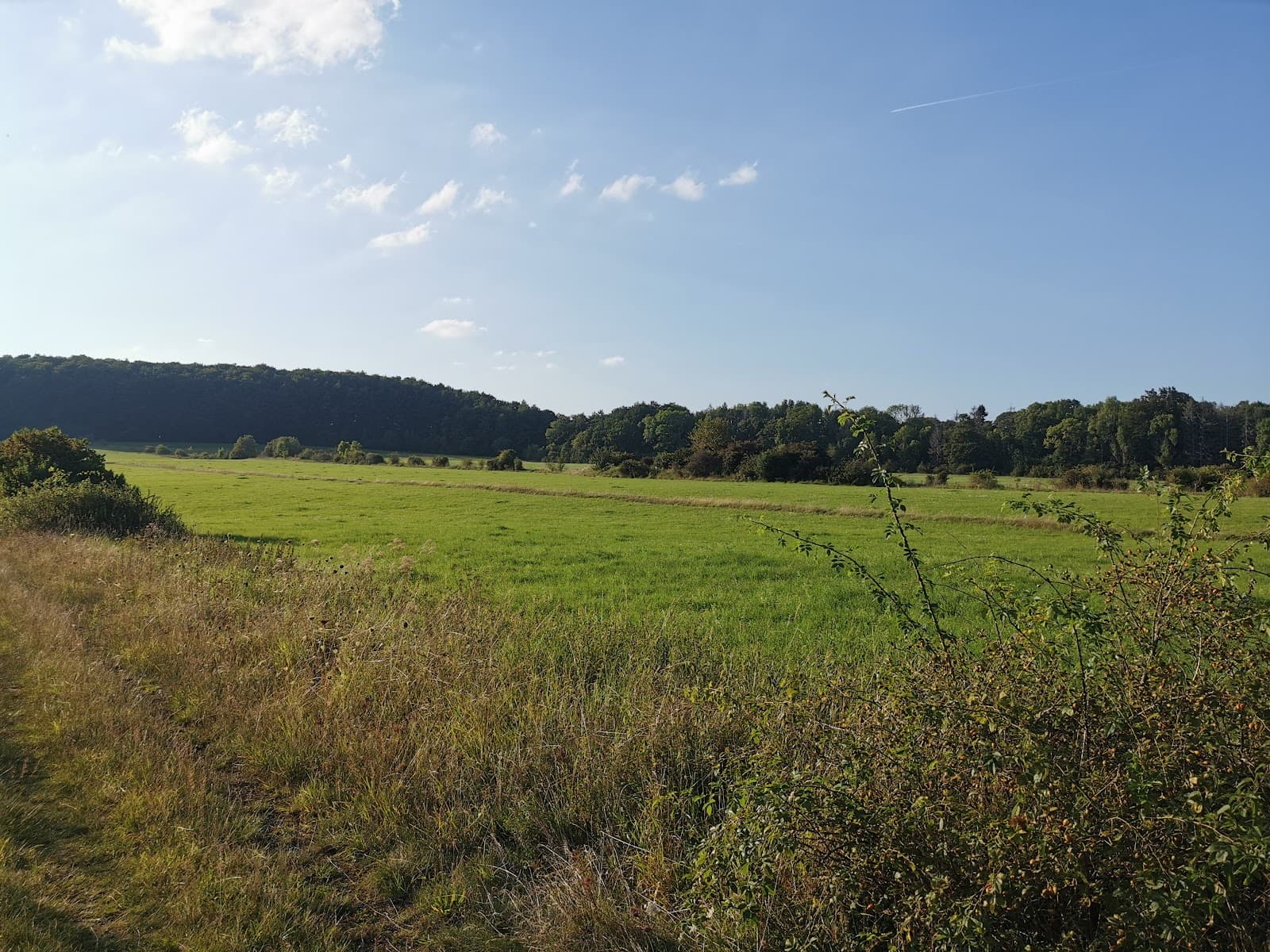 Kerstlingeröder Feld - Image 1