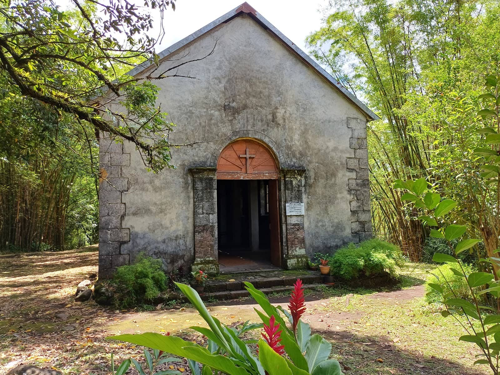 Peaceful Nature Walk