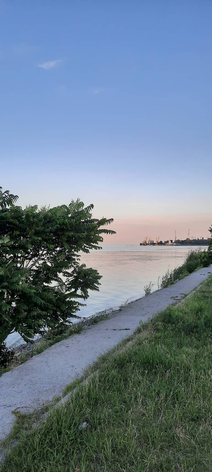 Vertical photo