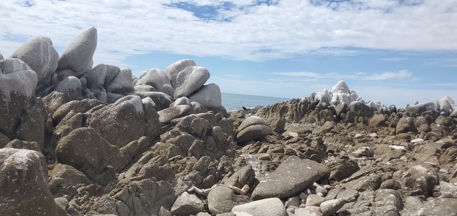 Isla San Jorge Puerto Peñasco - Image 1