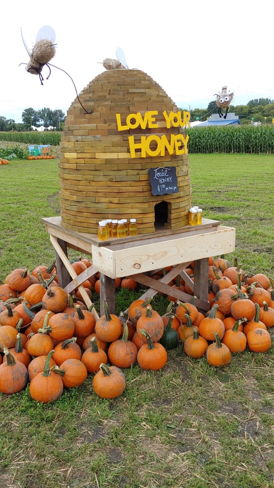 Sever's Fall Festival - Image 1