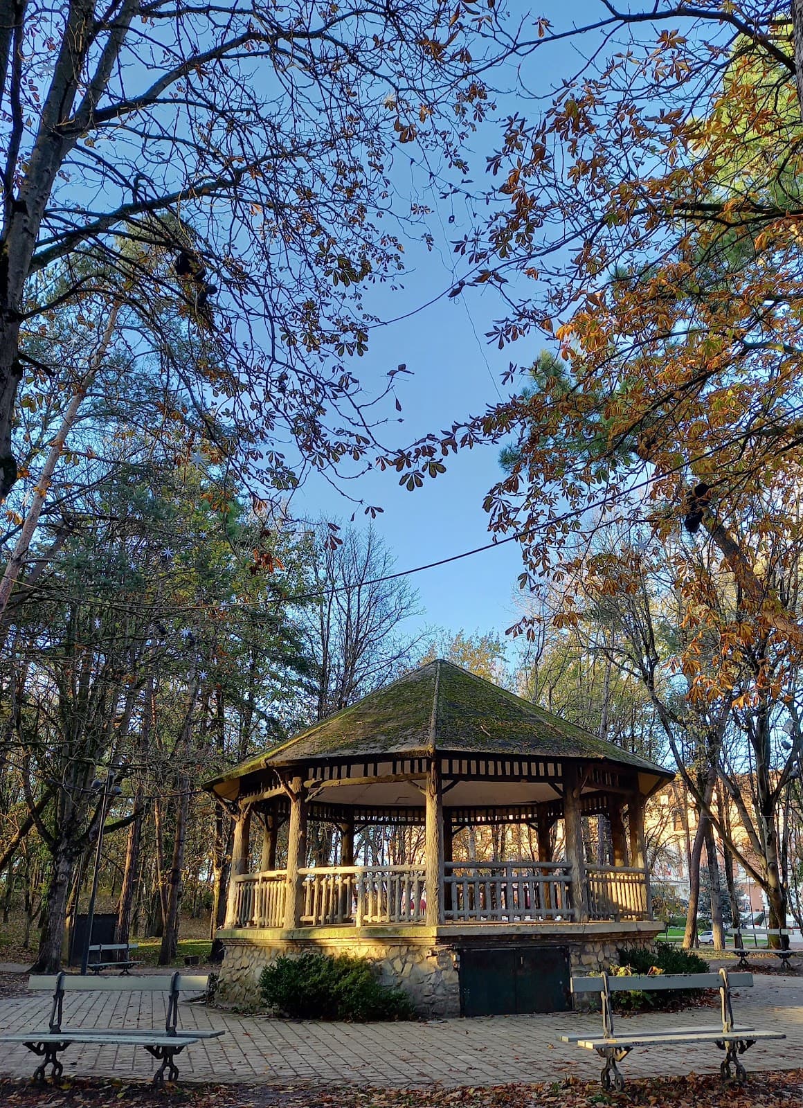 Parc des Pins - Image 1