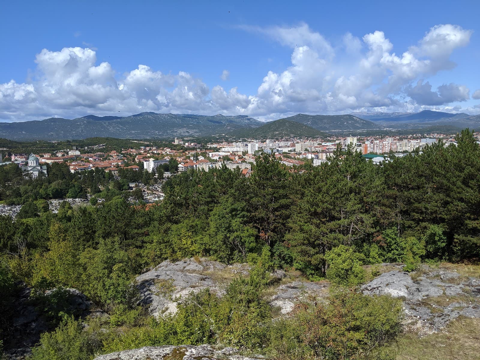 Trebjesa Park-forest - Image 1