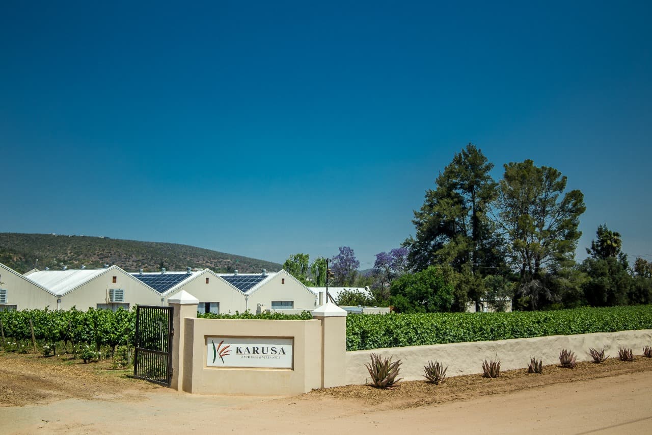 Karusa Vineyards - Image 1