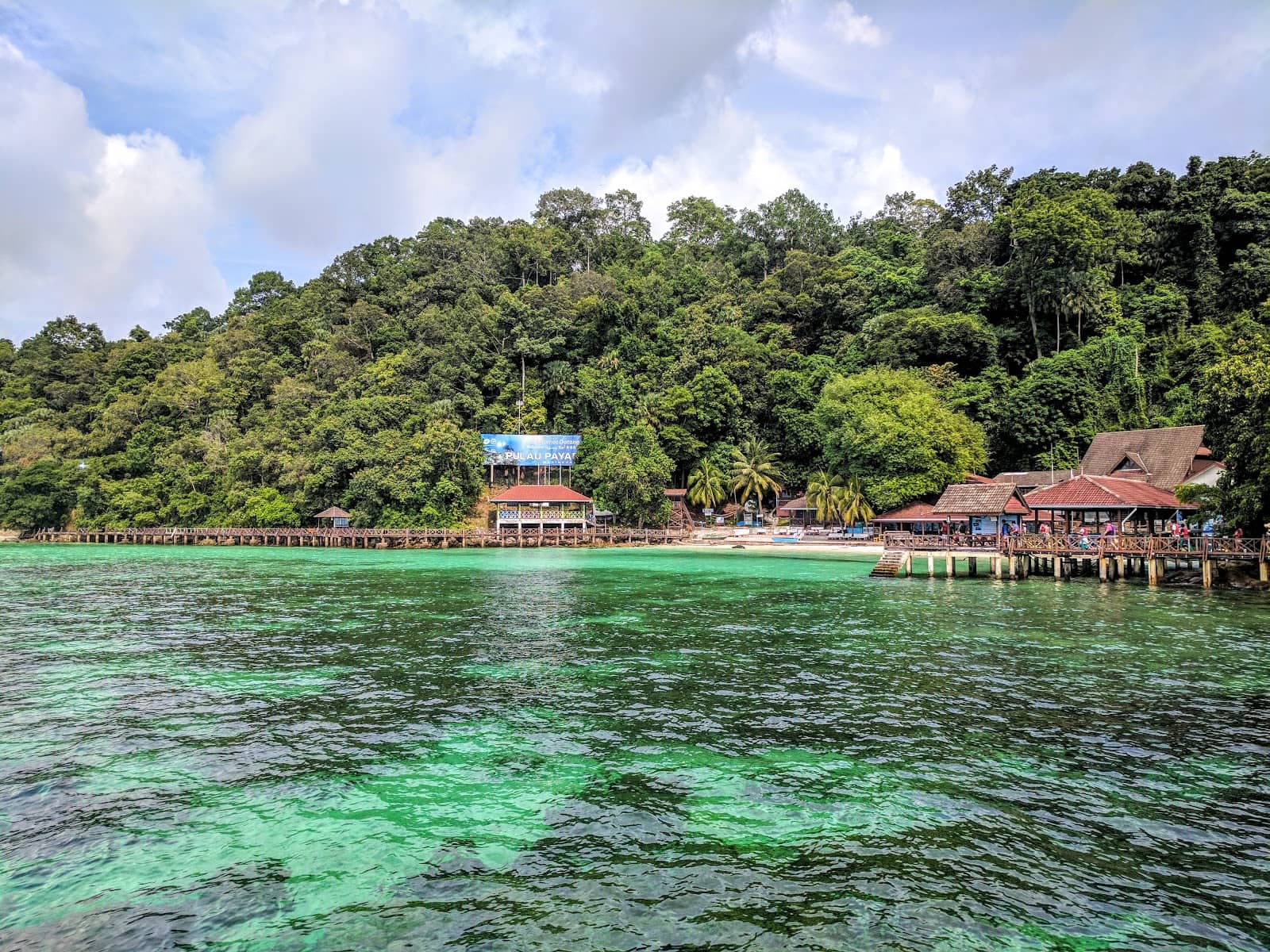 Marine Life Encounters