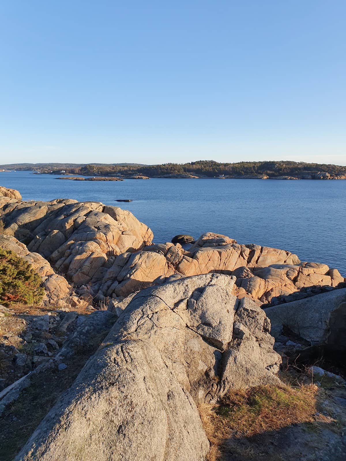 Tranquil Ocean Vistas