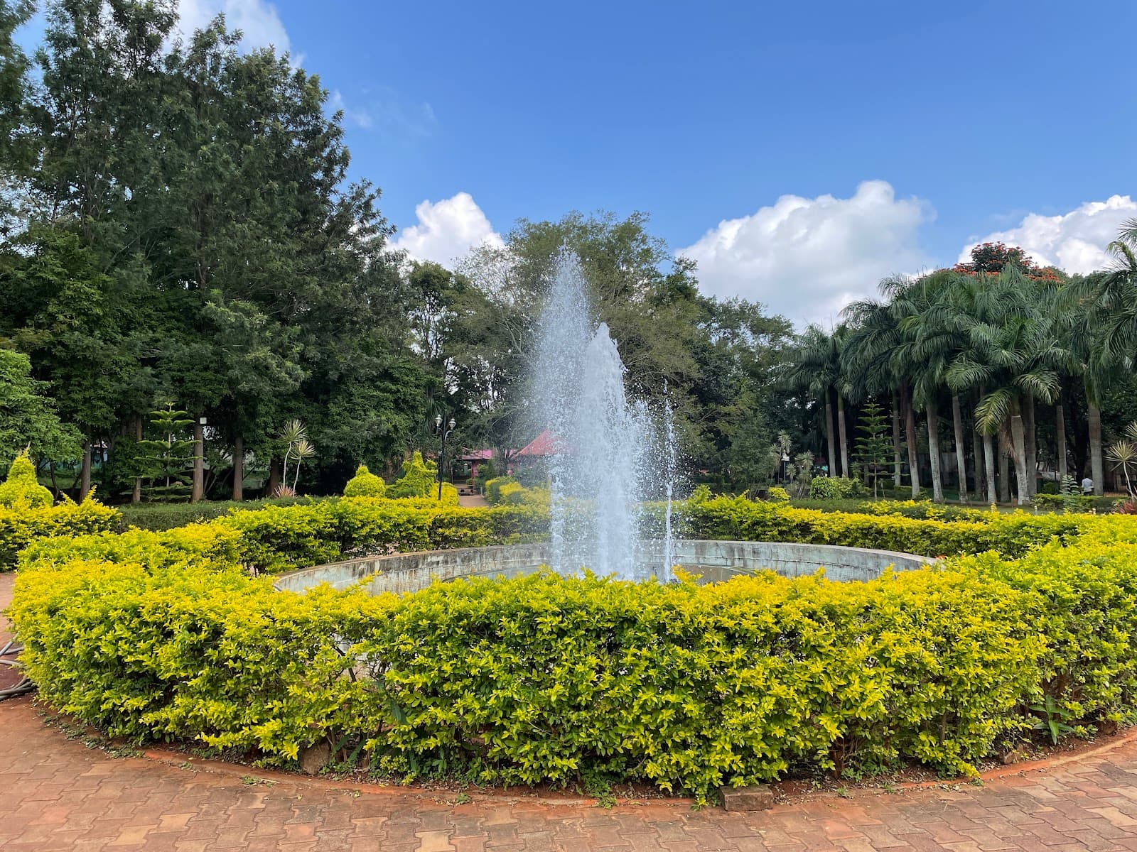 Yelagiri Nature Park - Image 1