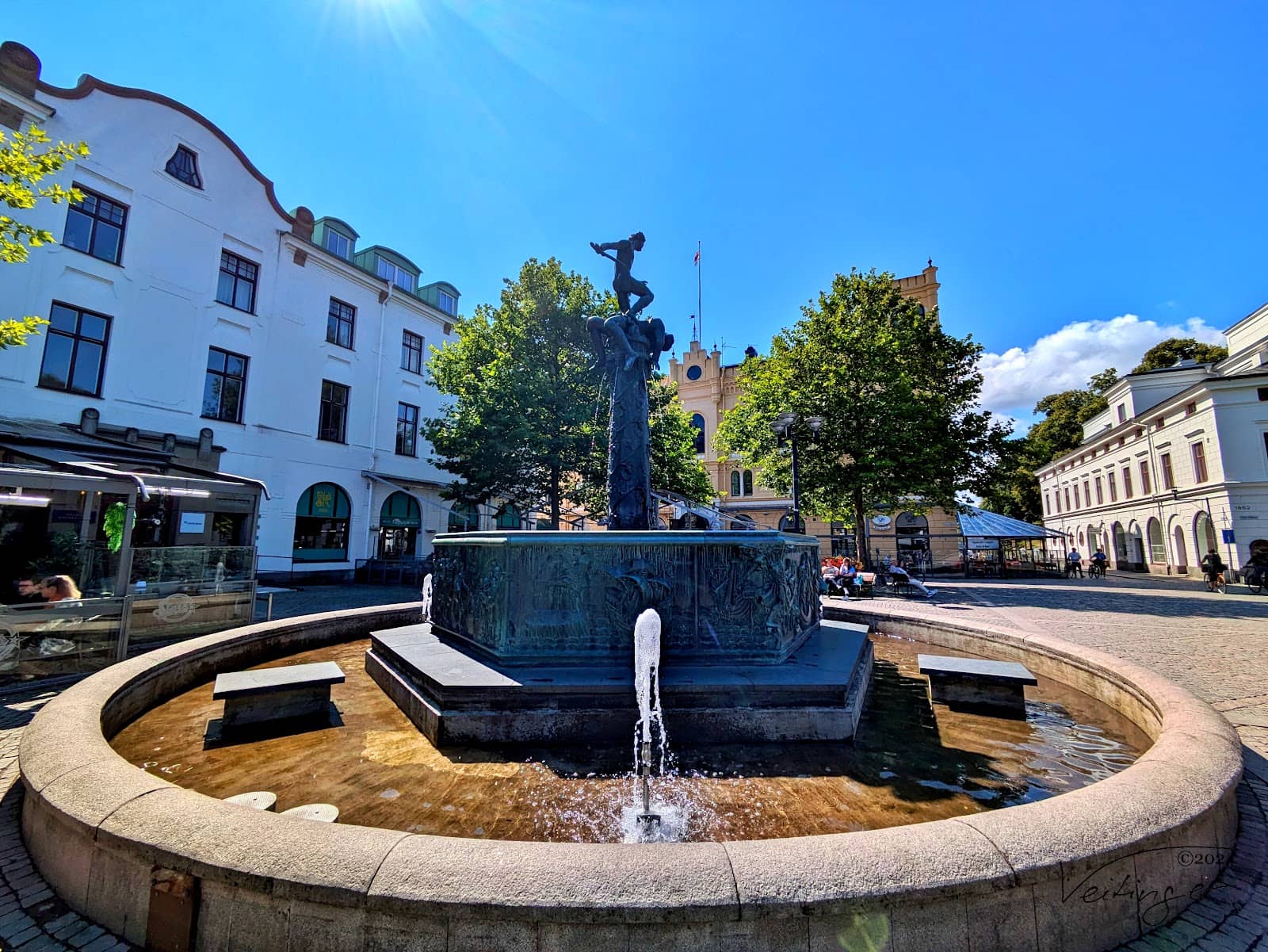 Colorful Flower Displays