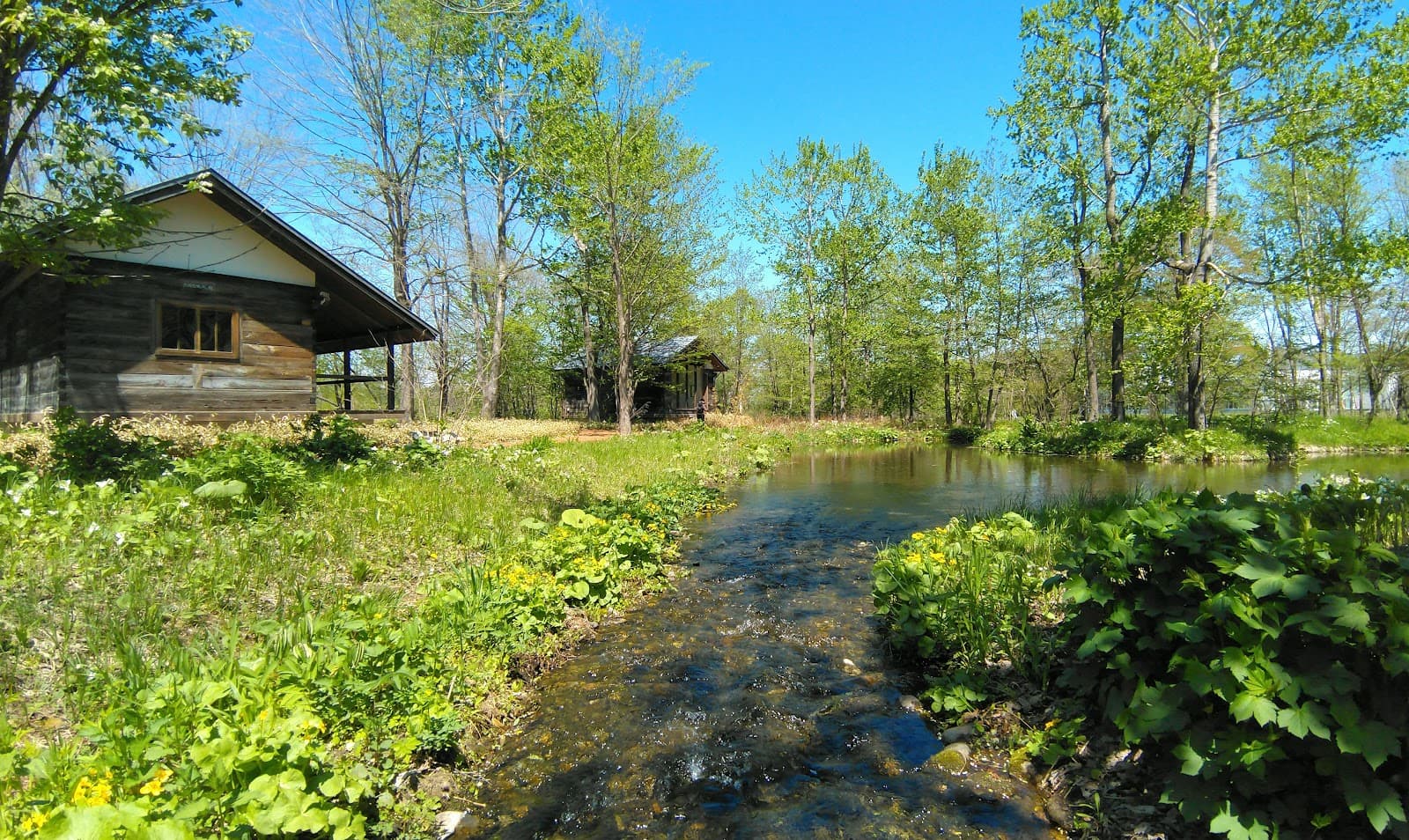 Rokka no Mori - Image 1