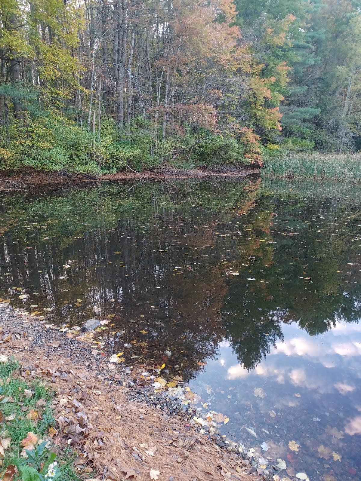 The Boulders - Image 1