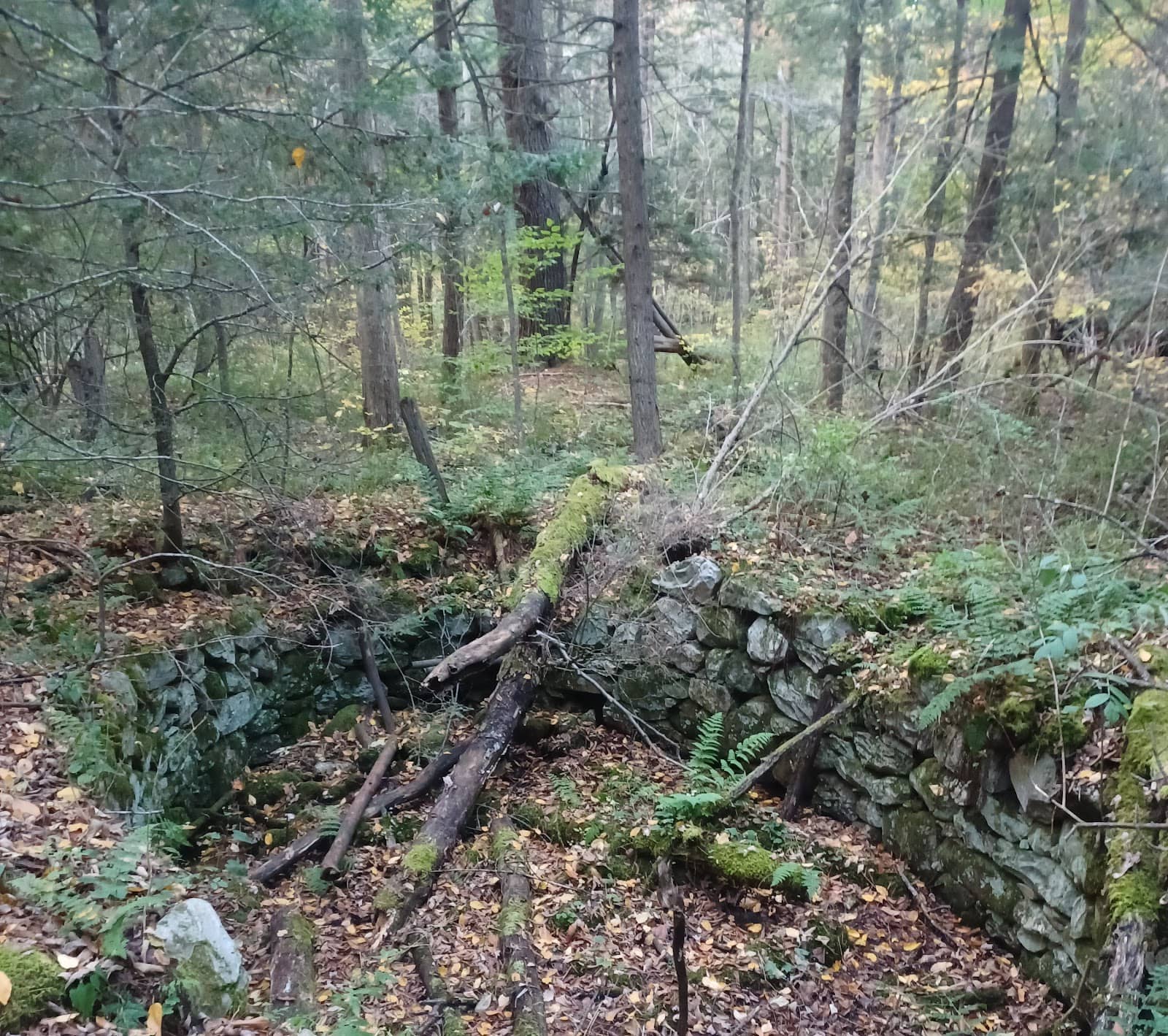 Vertical photo