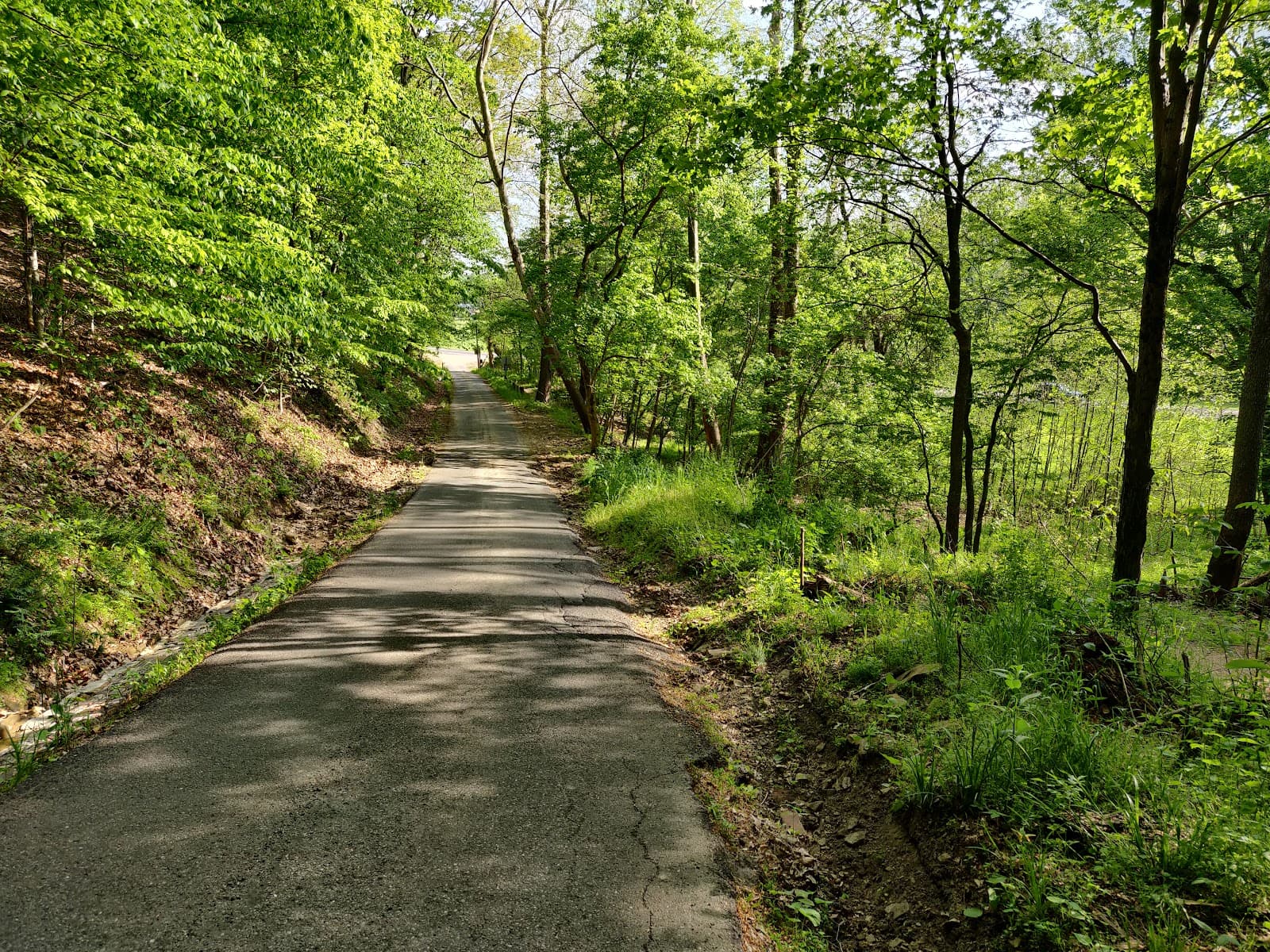 Horns Hill Park & Overlook - Image 1