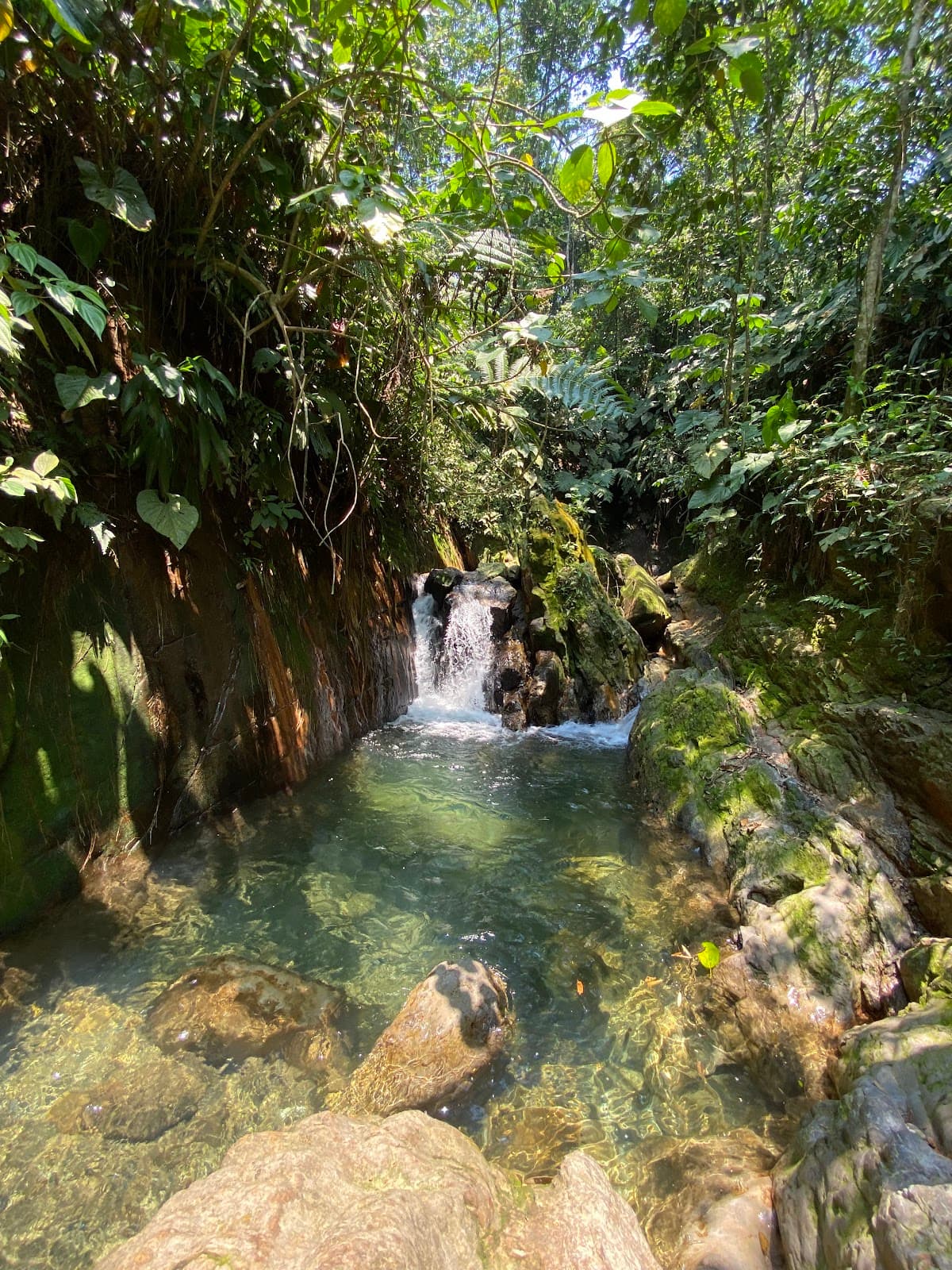 Bosque Bavaria - Image 1