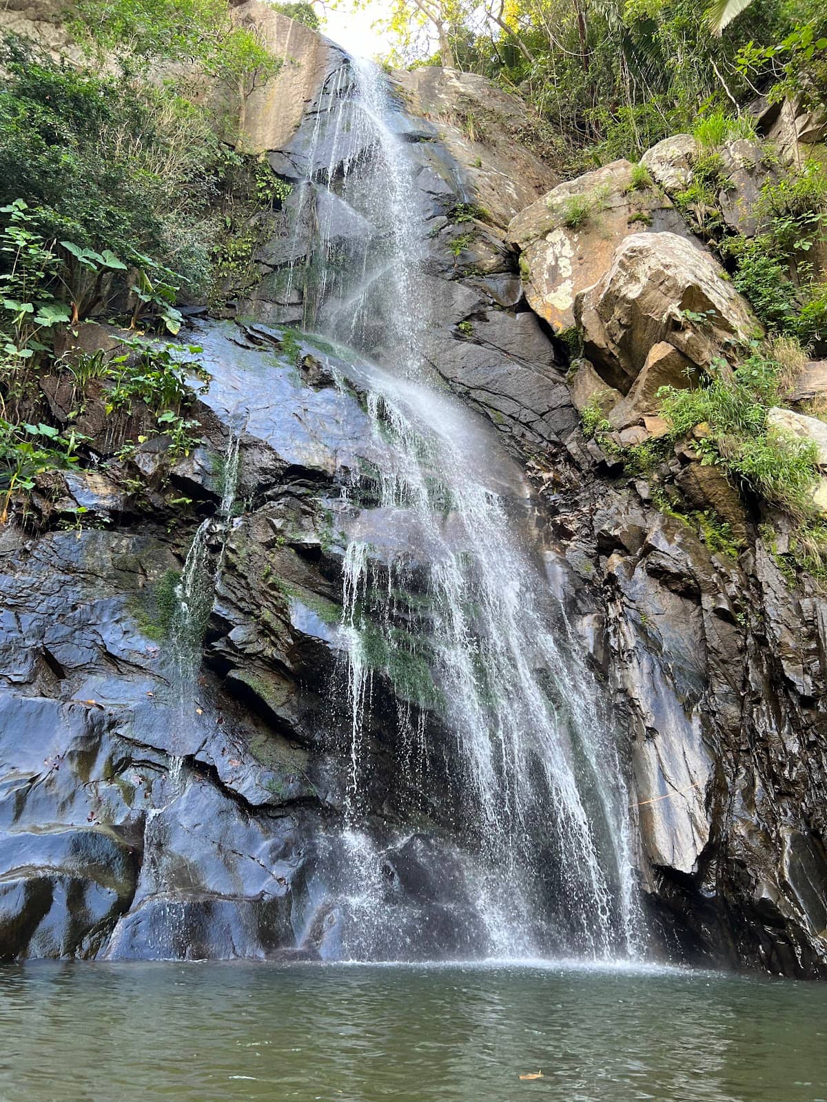 Vertical photo