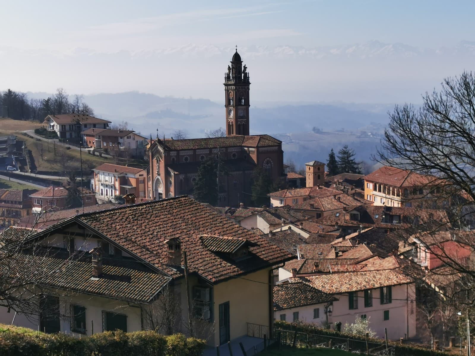Monforte d'Alba - Image 1