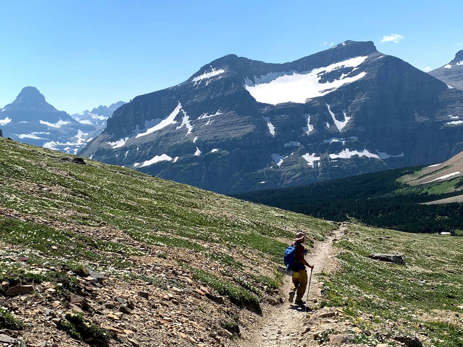 Potential Wildlife Encounters