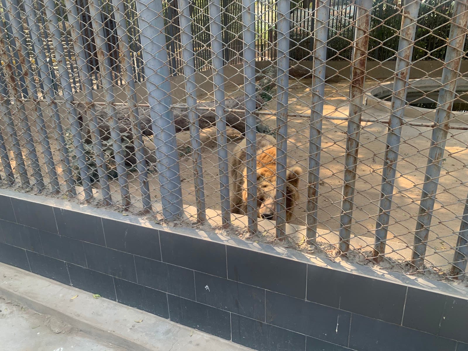Karachi Zoo - Image 1