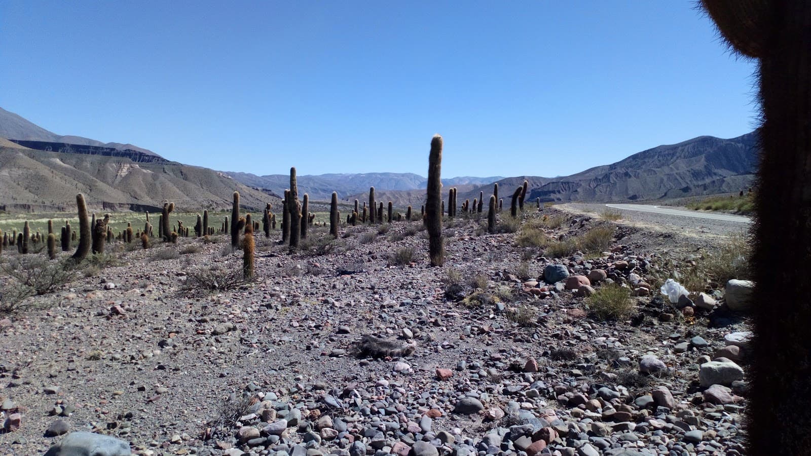 Parque Nacional Los Cardones - Image 1