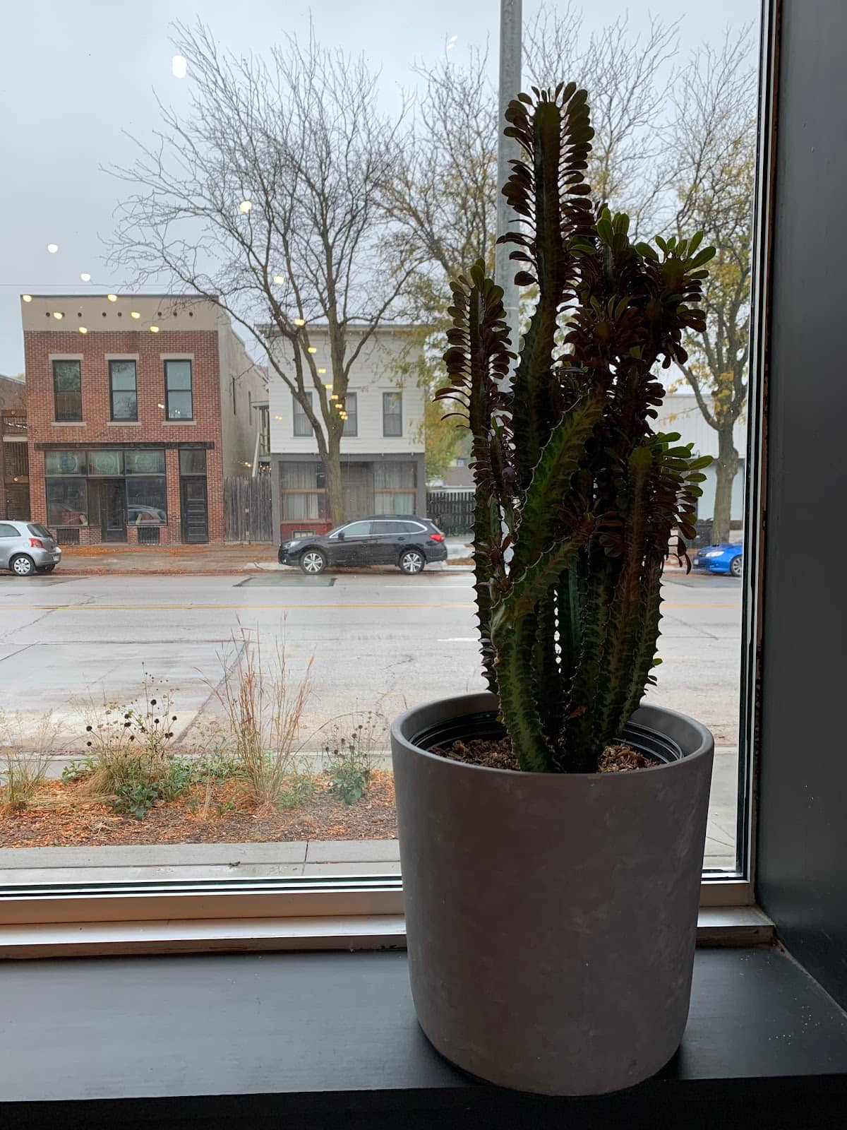 Archetype Roasters