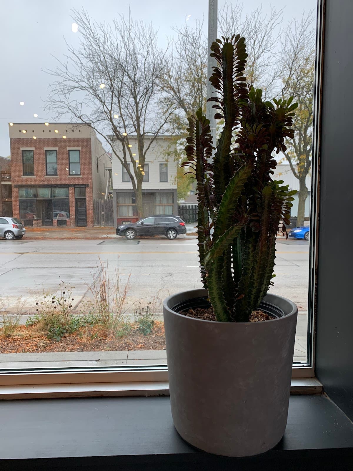 Little Bohemia - Image 1