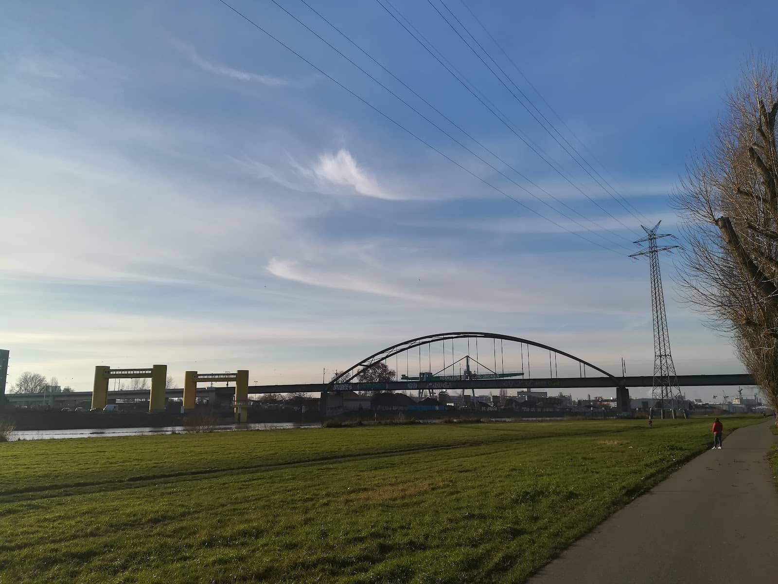 Vertical photo