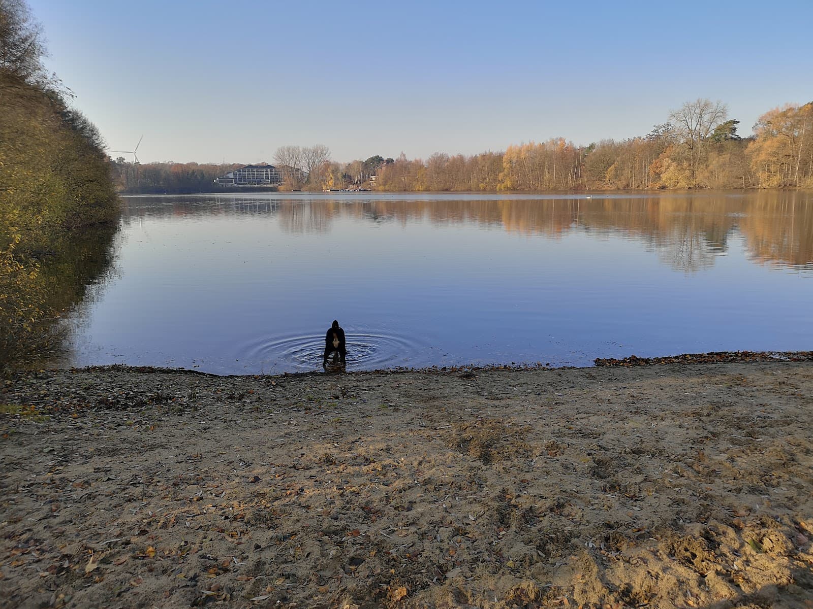 Hiltruper See - Image 1