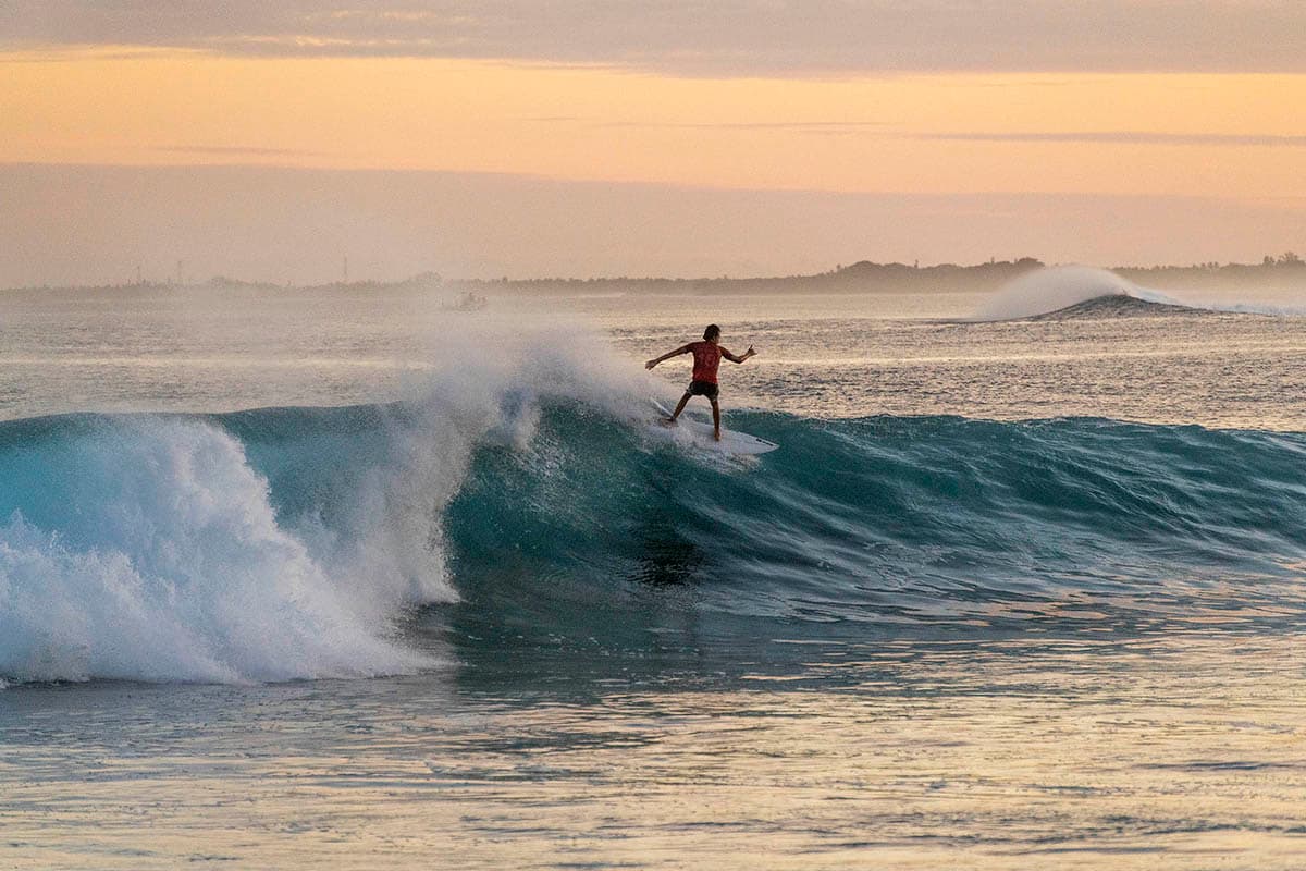 Chickens surf break - Image 1