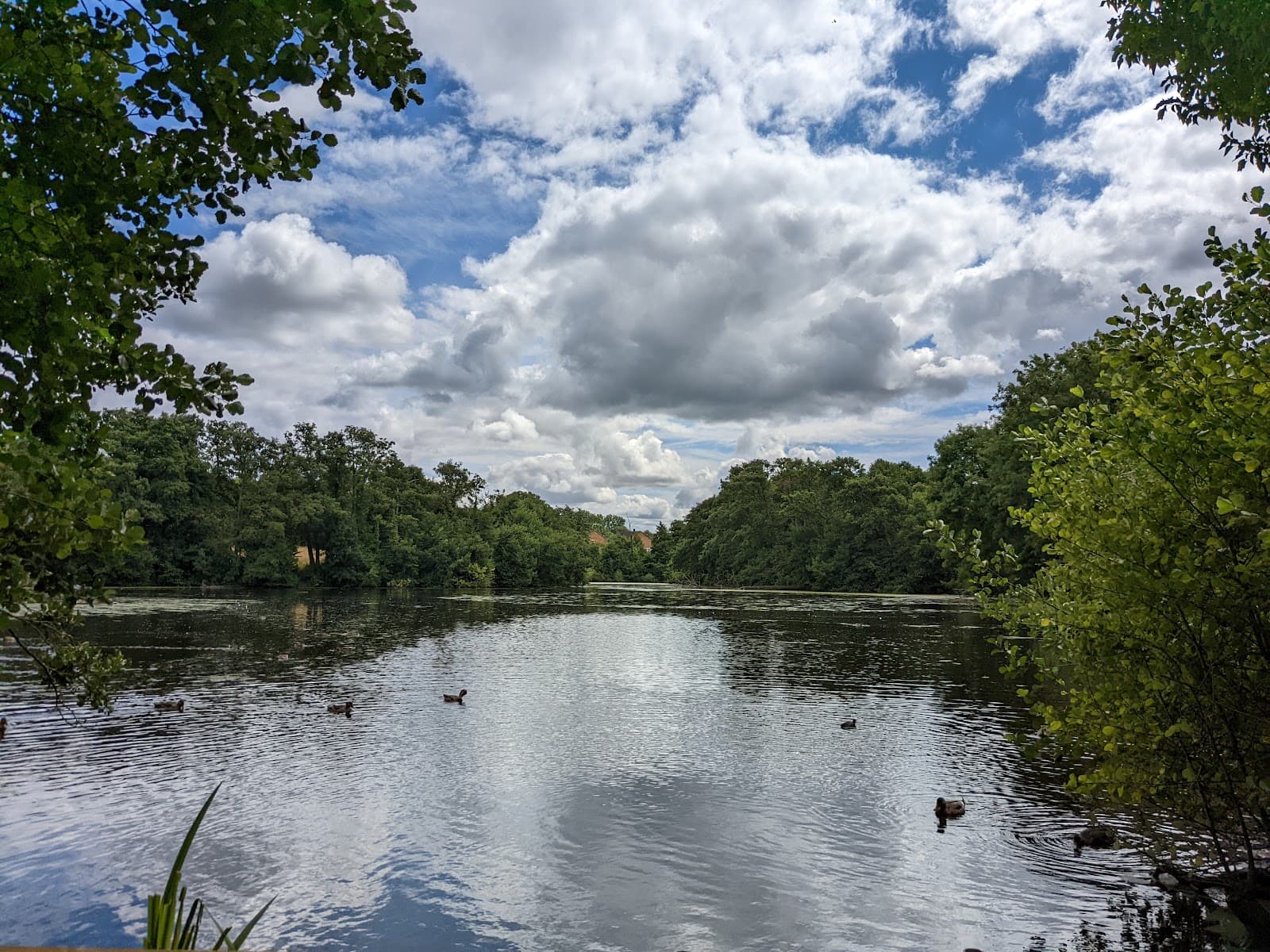 Dothill Local Nature Reserve - Image 1