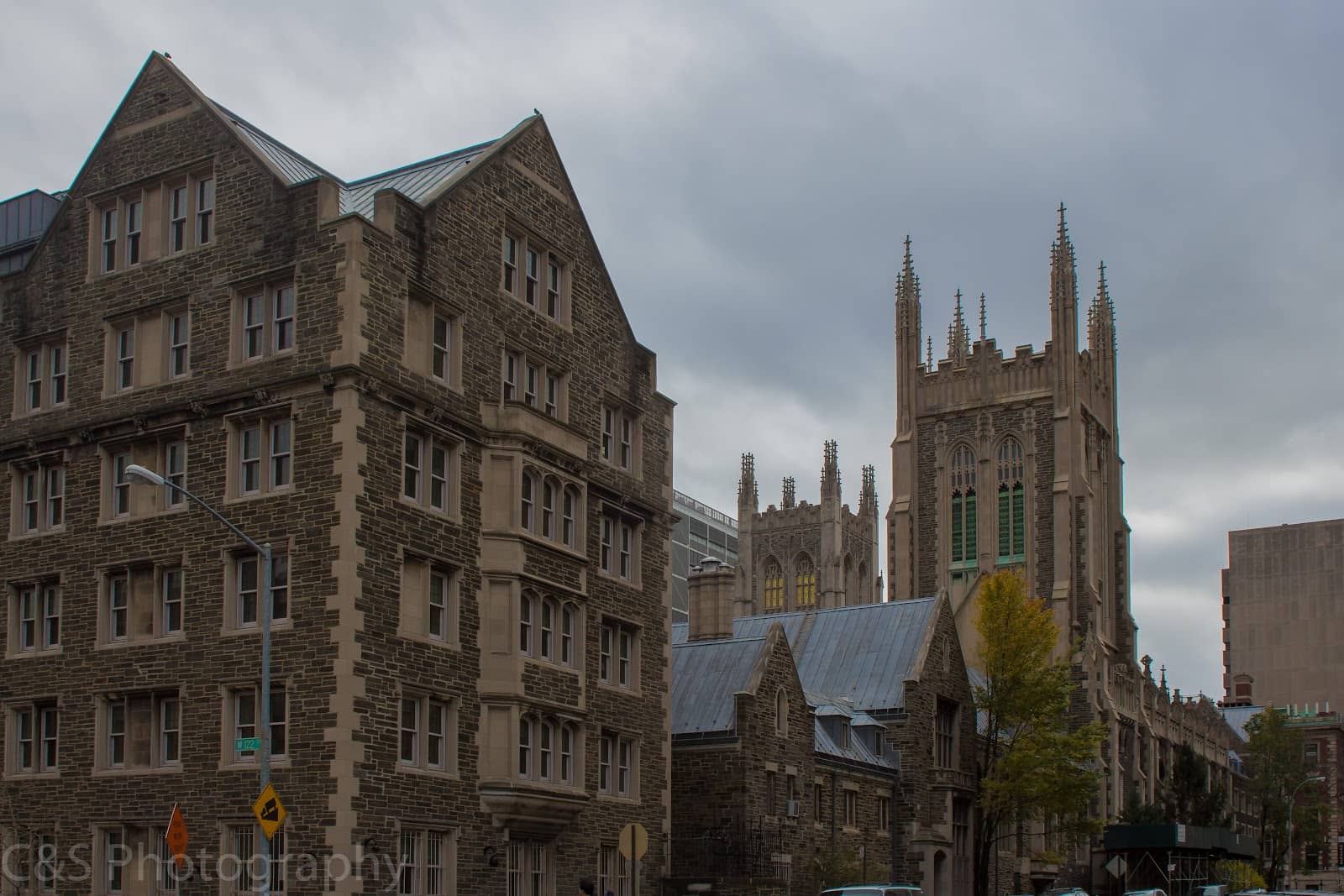 DUMBO's Iconic Bridge Views