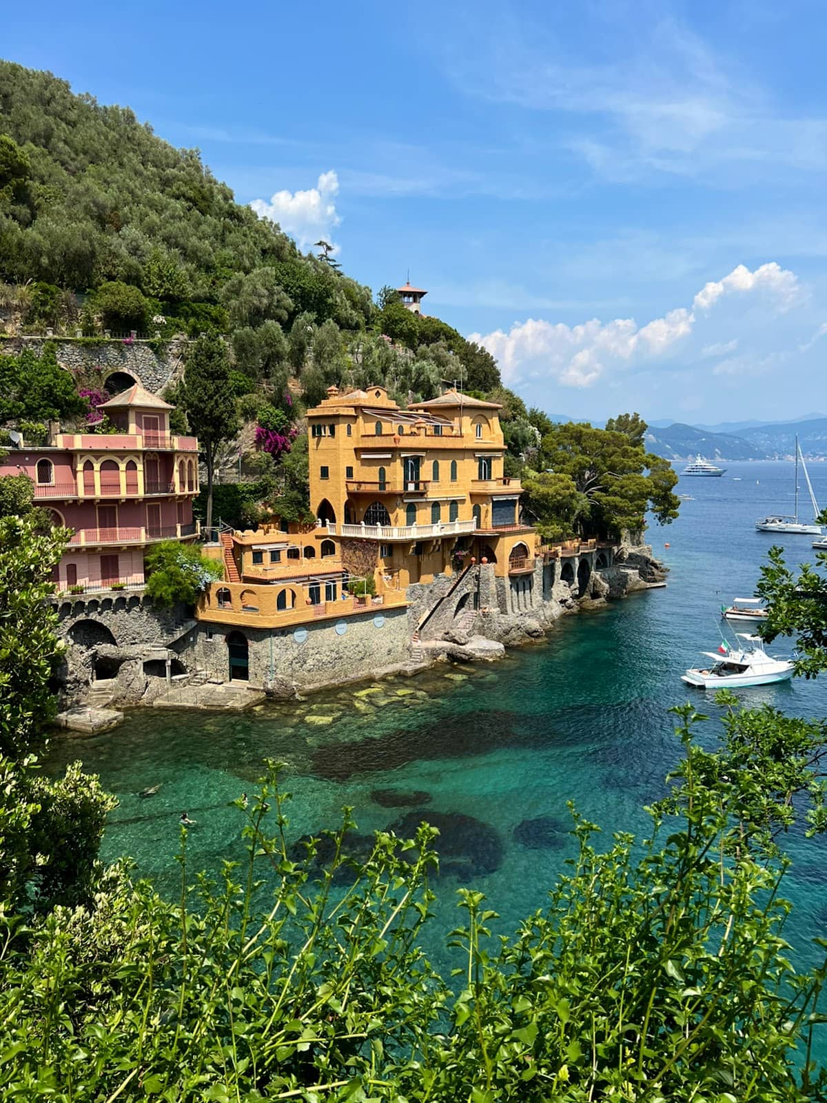 Tide Pool Exploration