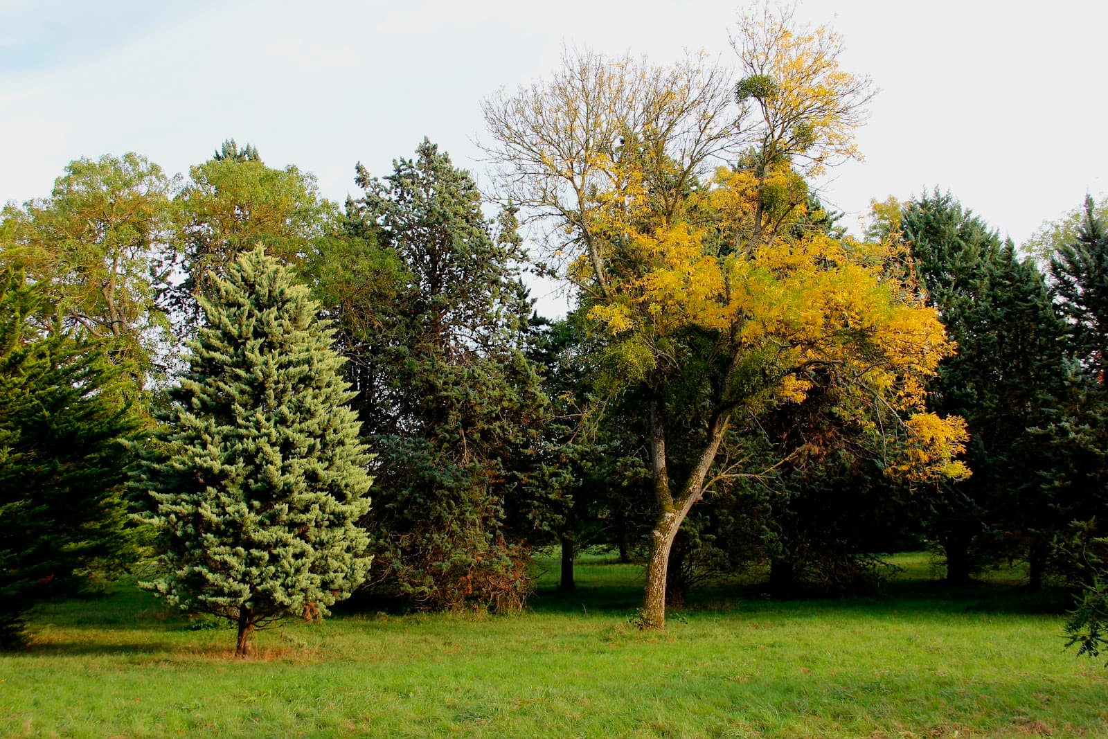 Arboretum de Chèvreloup - Image 1