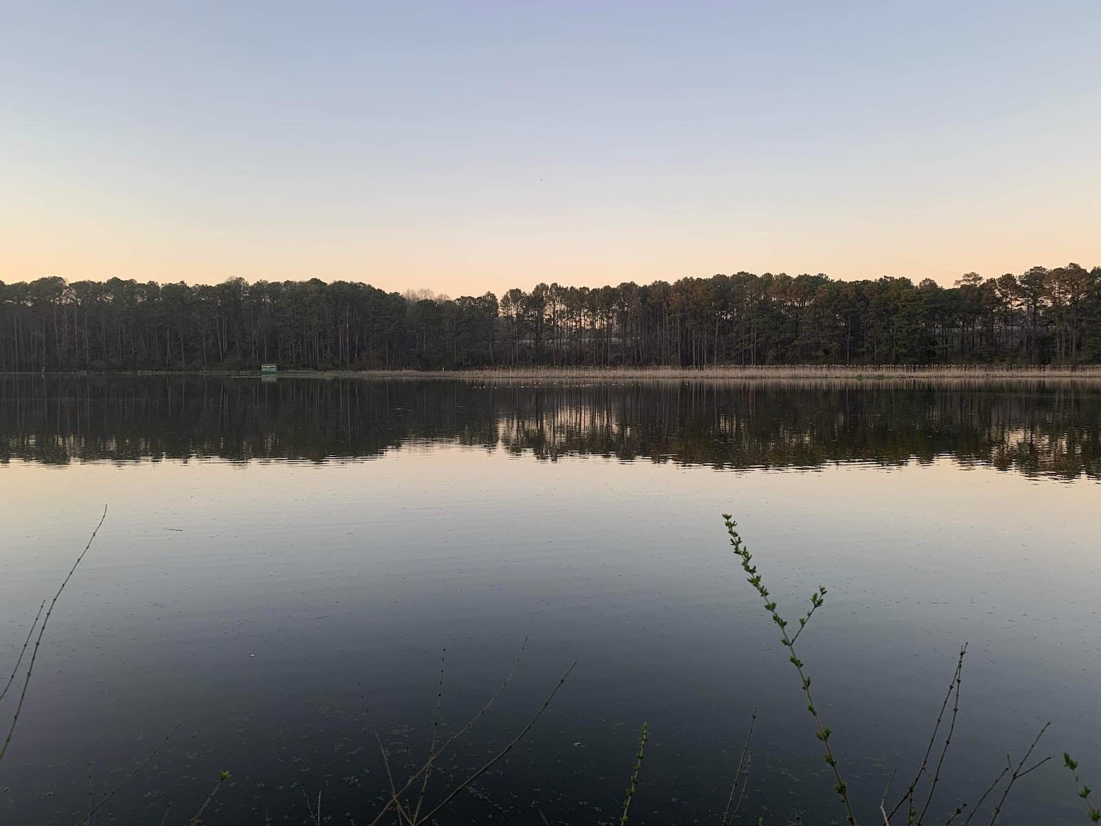 Opelika Wood Duck Heritage Preserve - Image 1