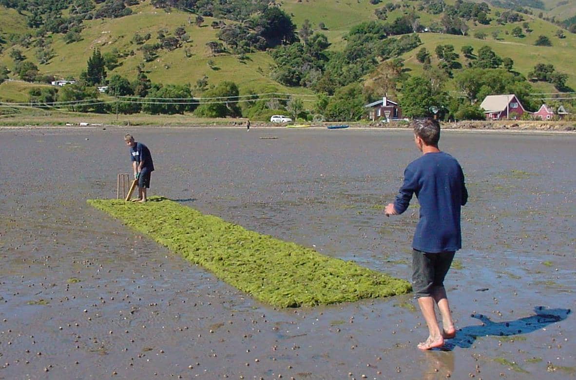 Takamatua Bay Beach