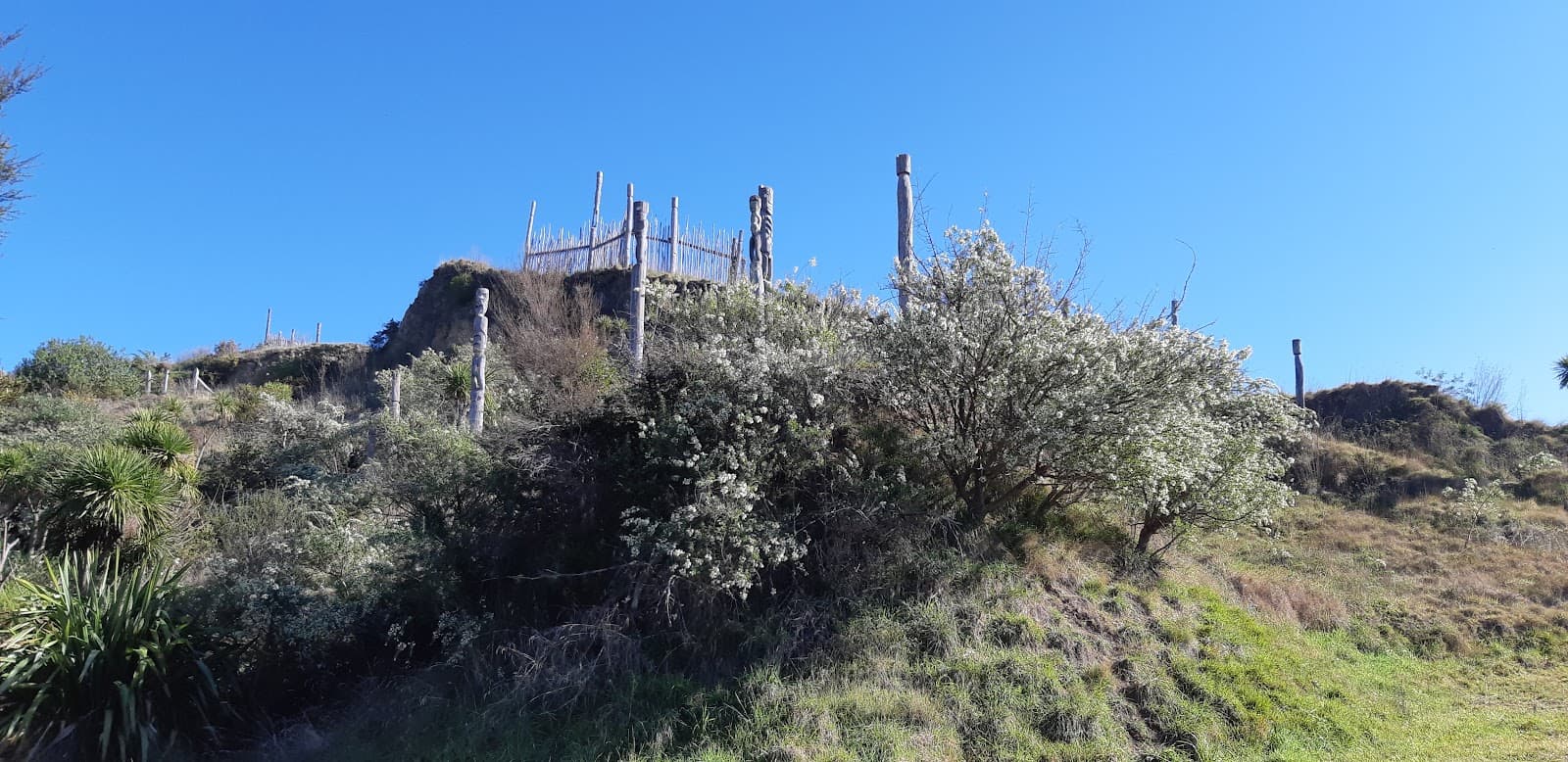 Otatara Pa Historic Reserve - Image 1