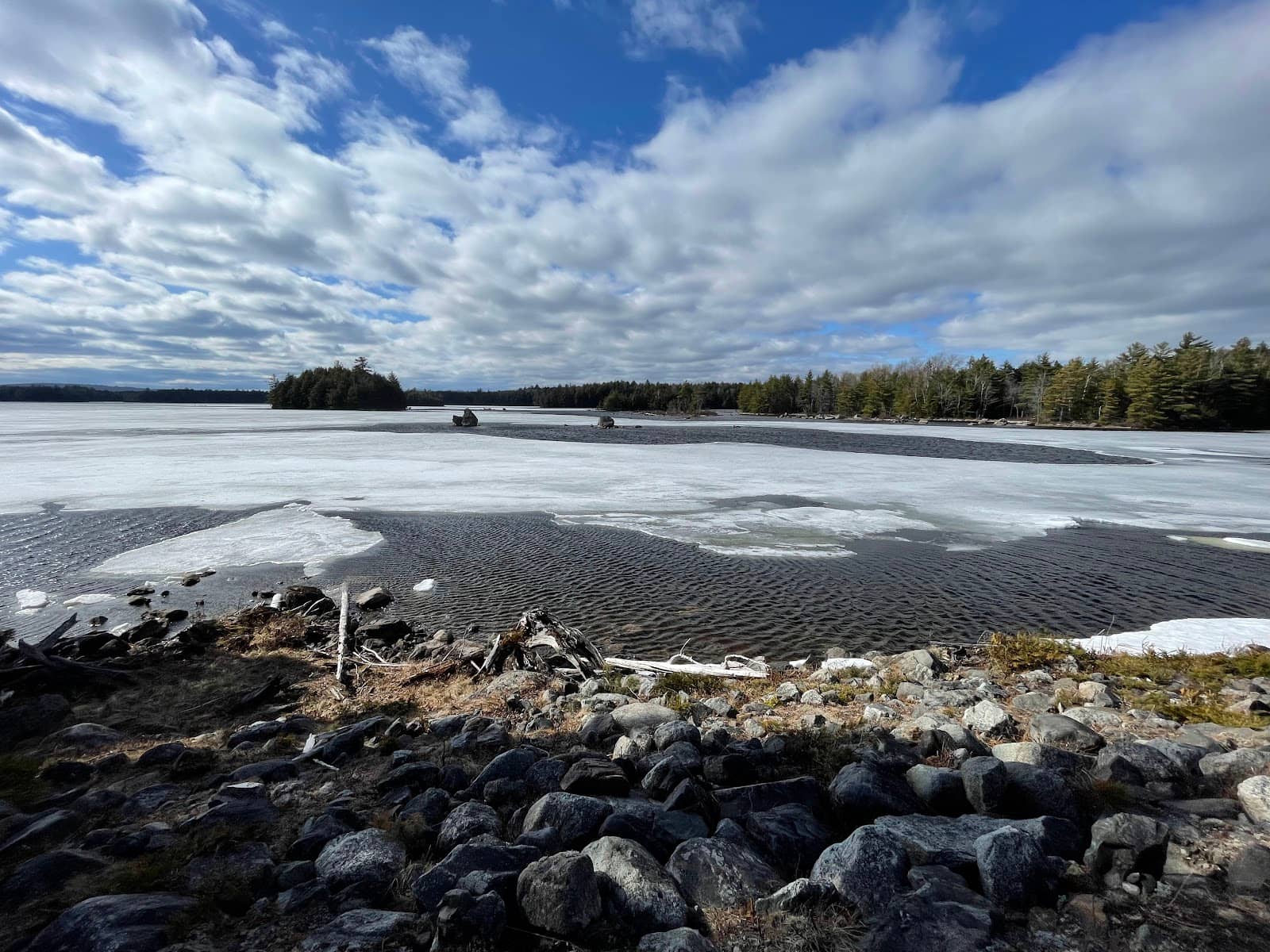 Kid & Dog Friendly Paths
