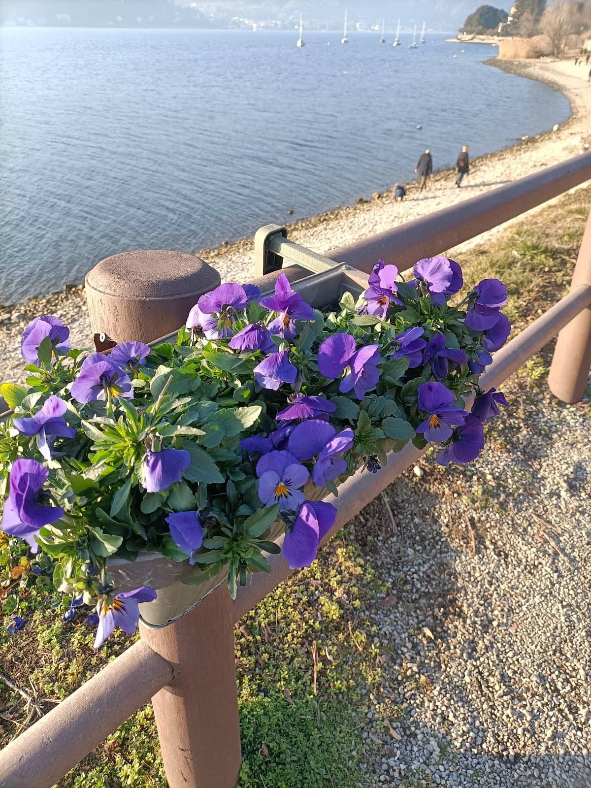Vertical photo