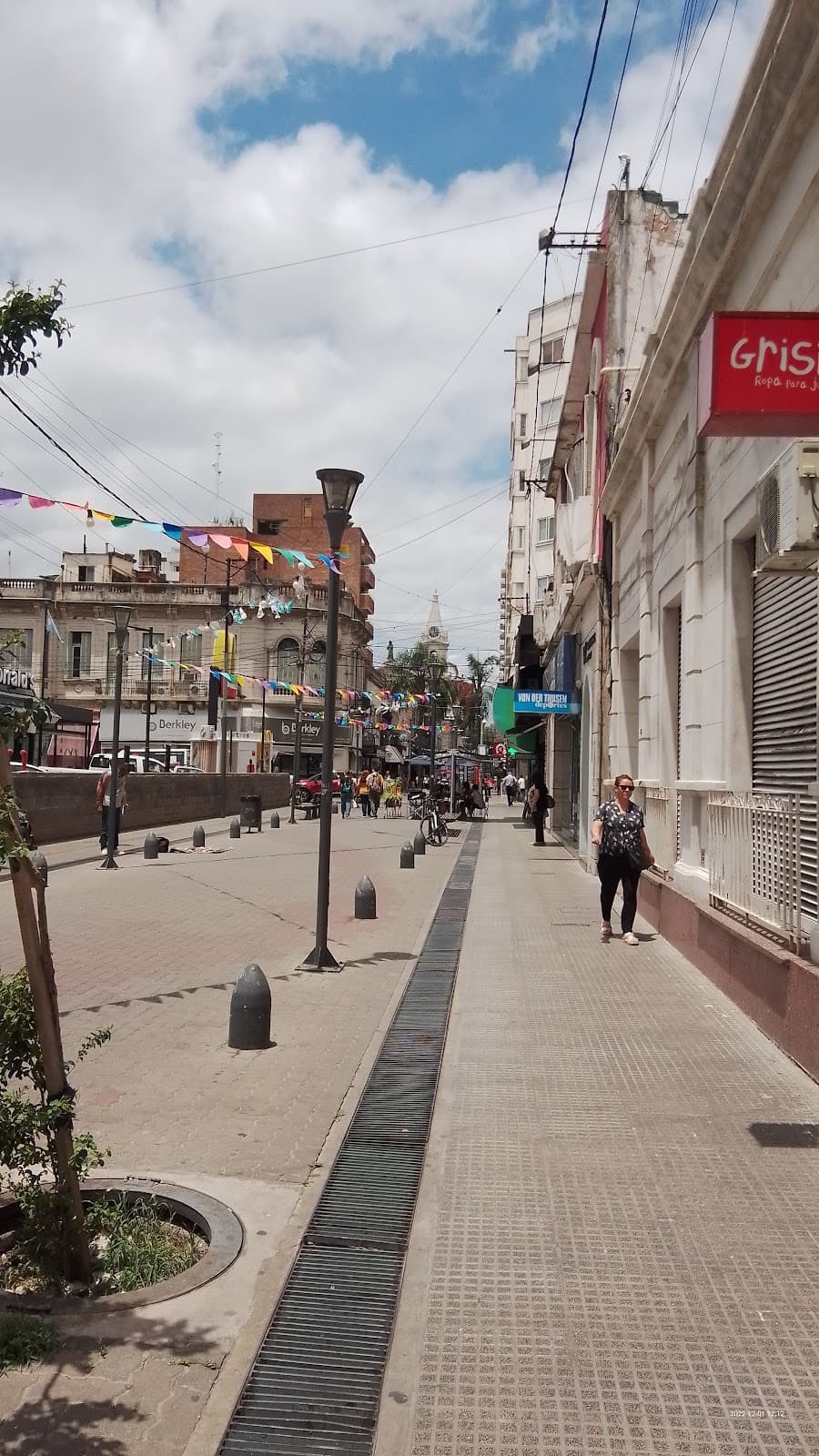 Peatonal San Martin - Image 1