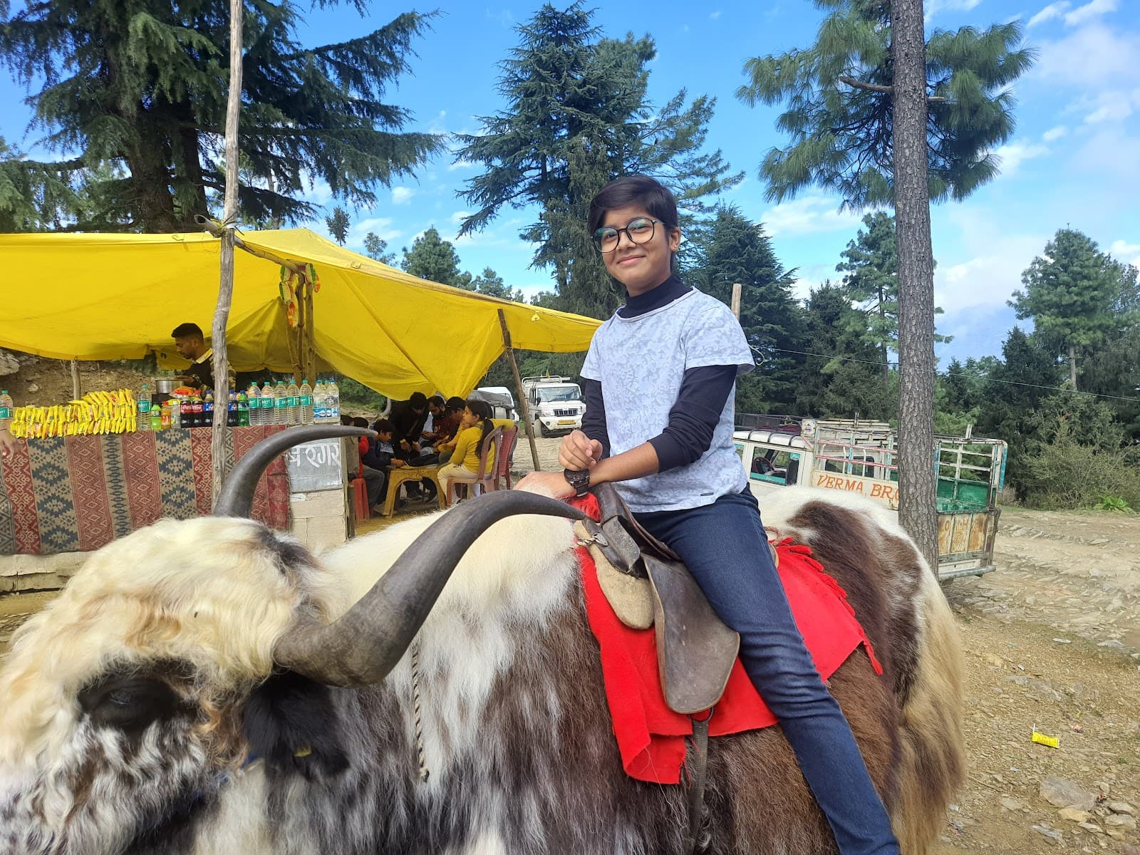 Chail–Kufri Scenic Drive - Image 1