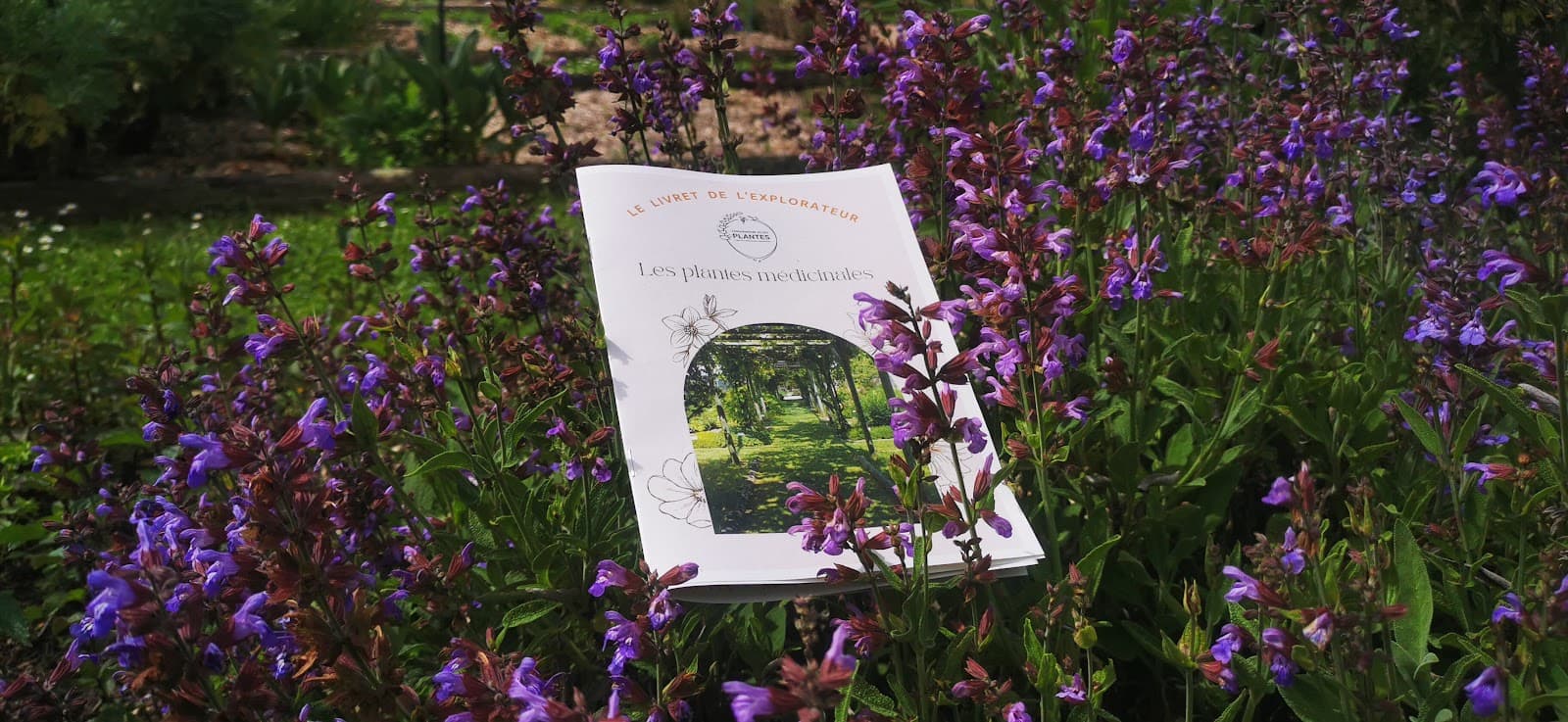 Conservatoire National des Plantes - Image 1