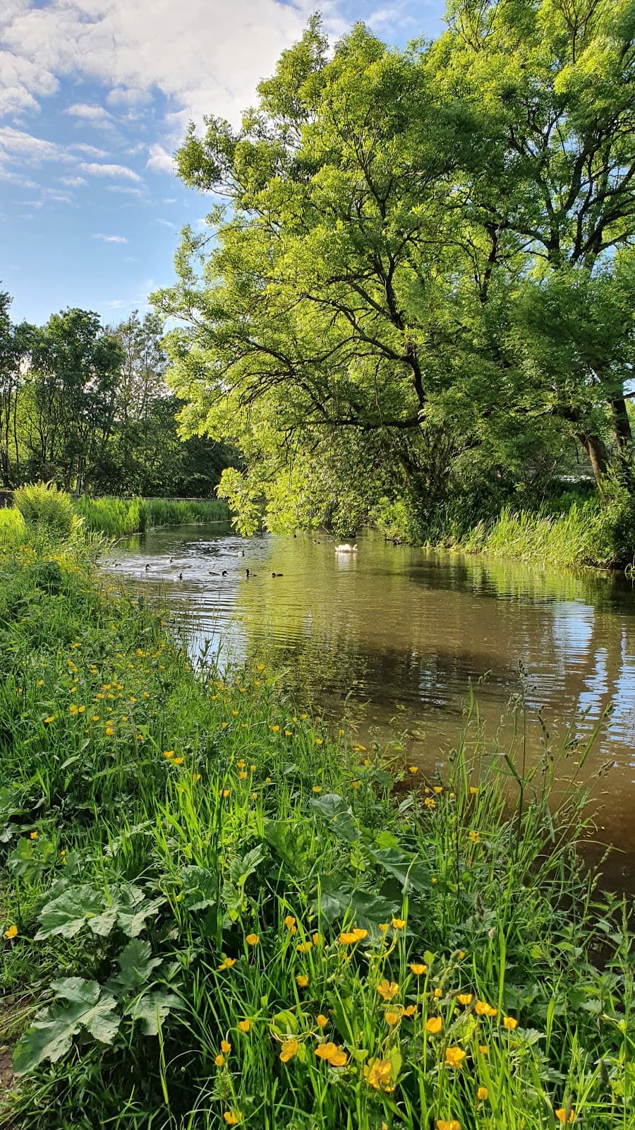 Monkland Canal Towpath (Coatbridge) - Image 1