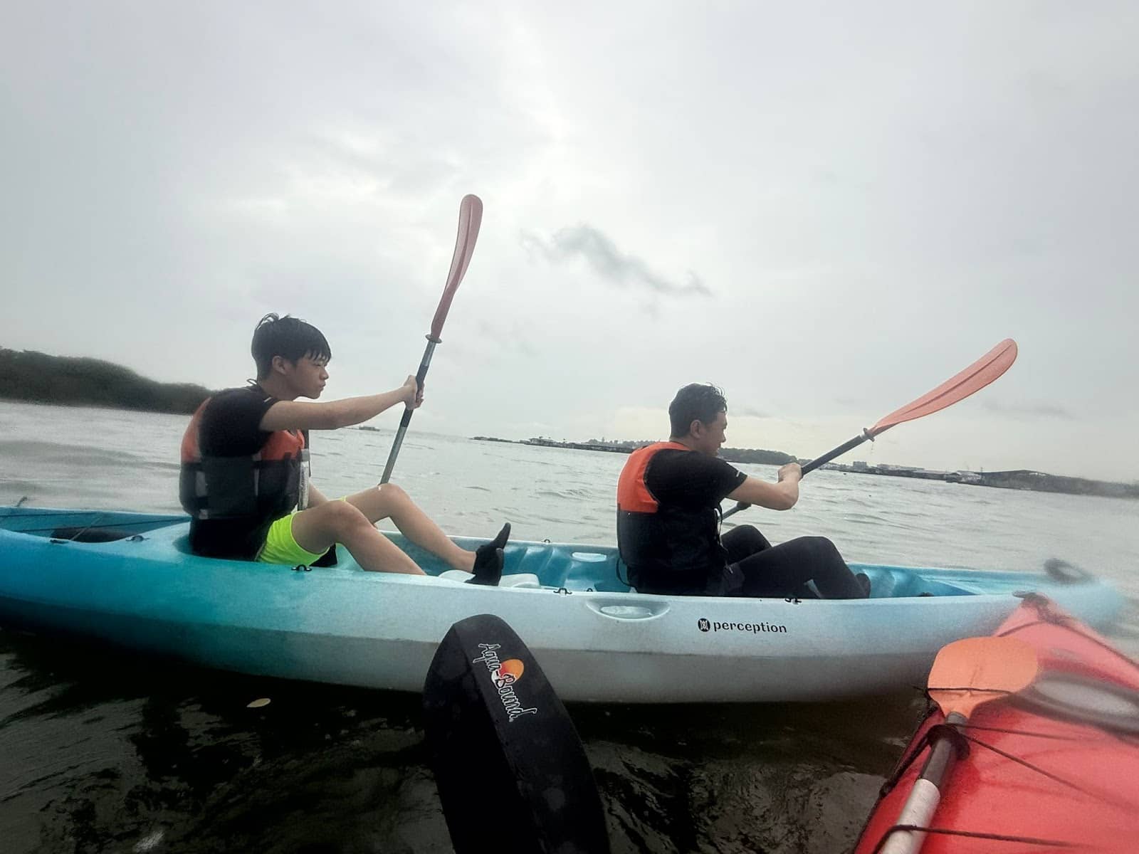 Local Guide Insights