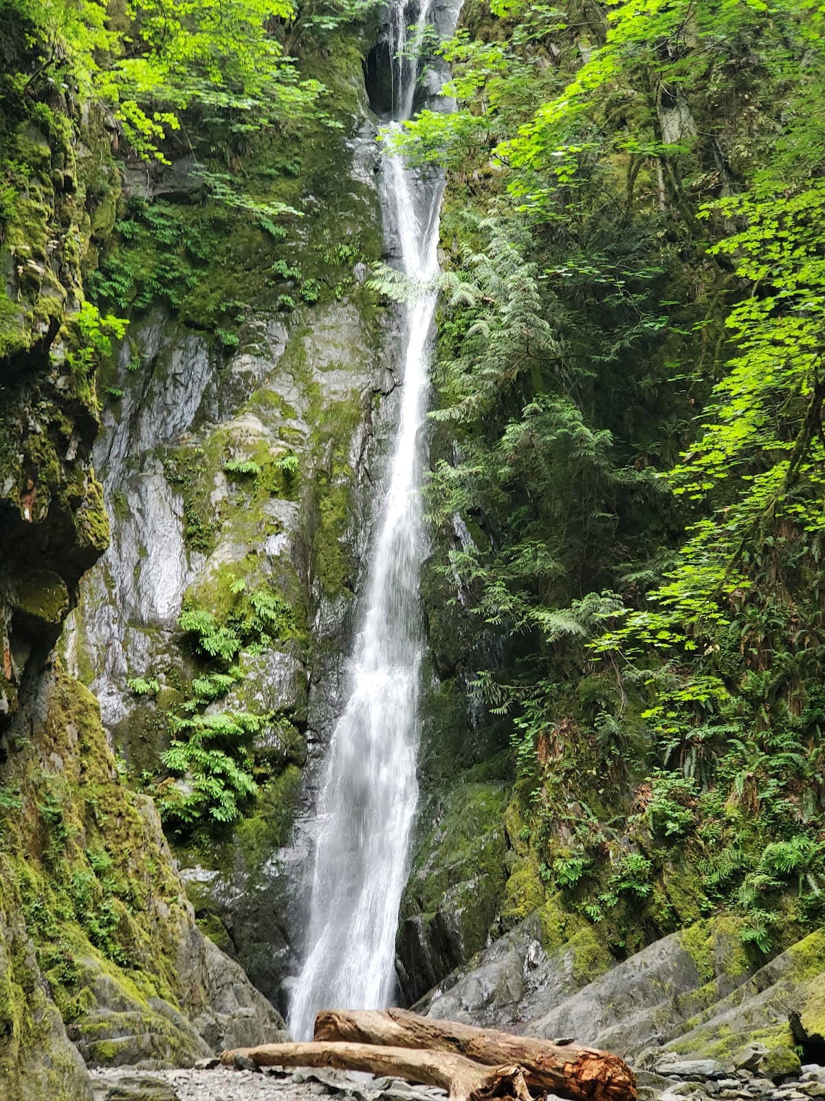 Goldstream Provincial Park - Image 1